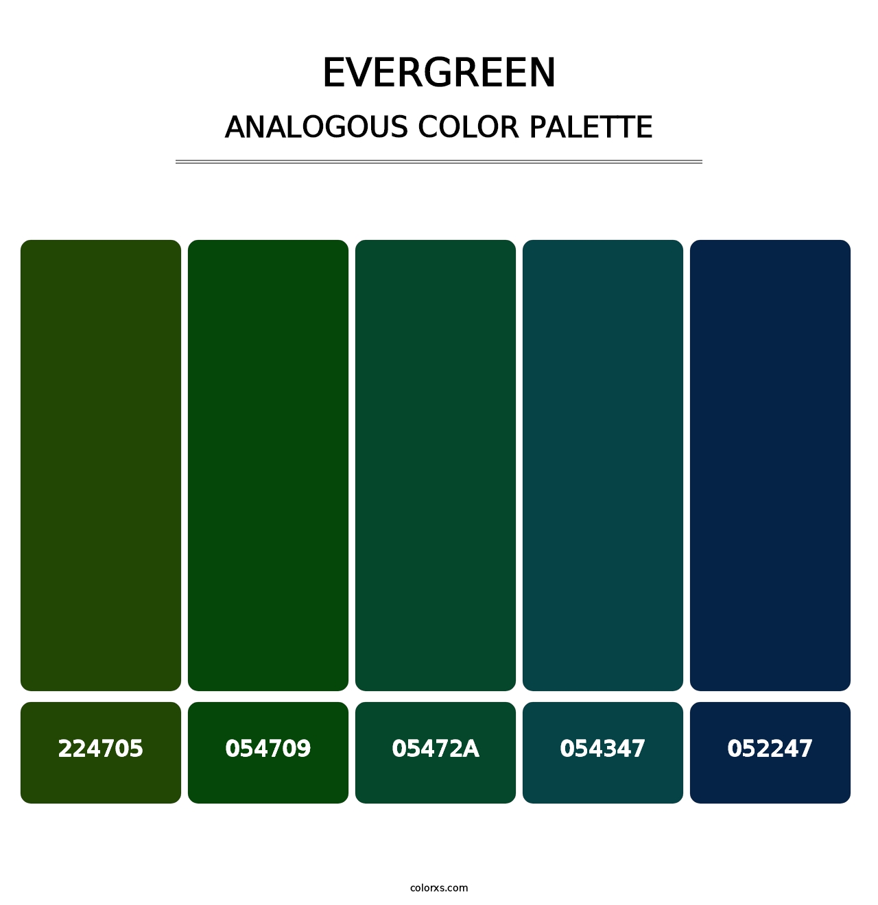 Evergreen - Analogous Color Palette