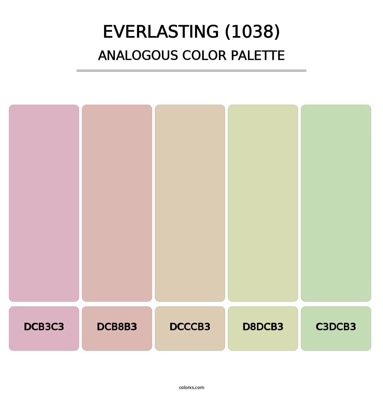 Everlasting (1038) - Analogous Color Palette