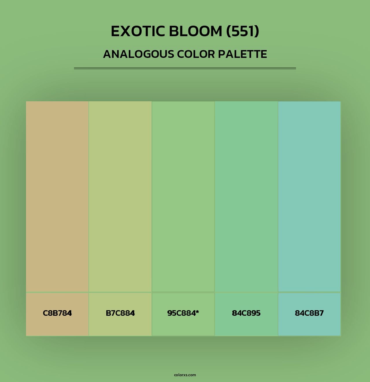Exotic Bloom (551) - Analogous Color Palette