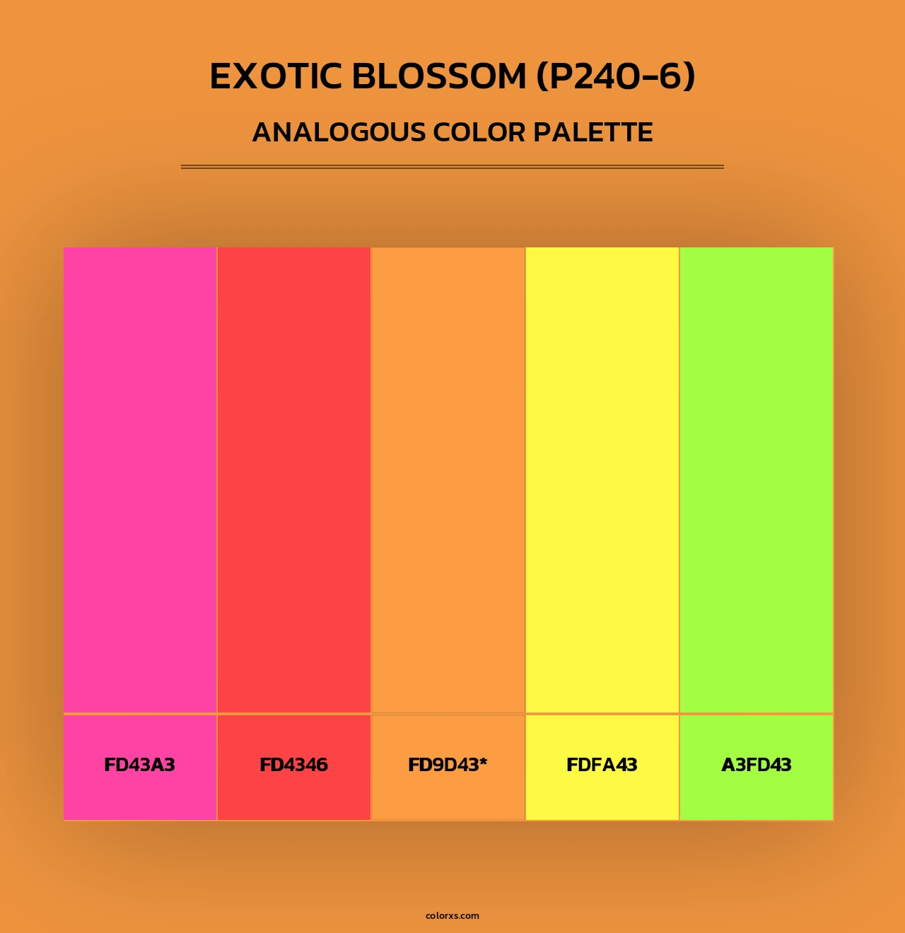 Exotic Blossom (P240-6) - Analogous Color Palette