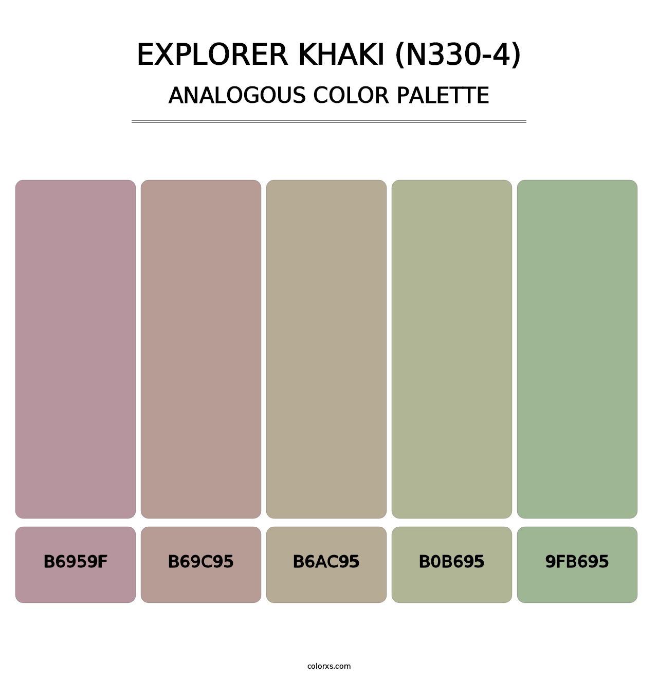 Explorer Khaki (N330-4) - Analogous Color Palette