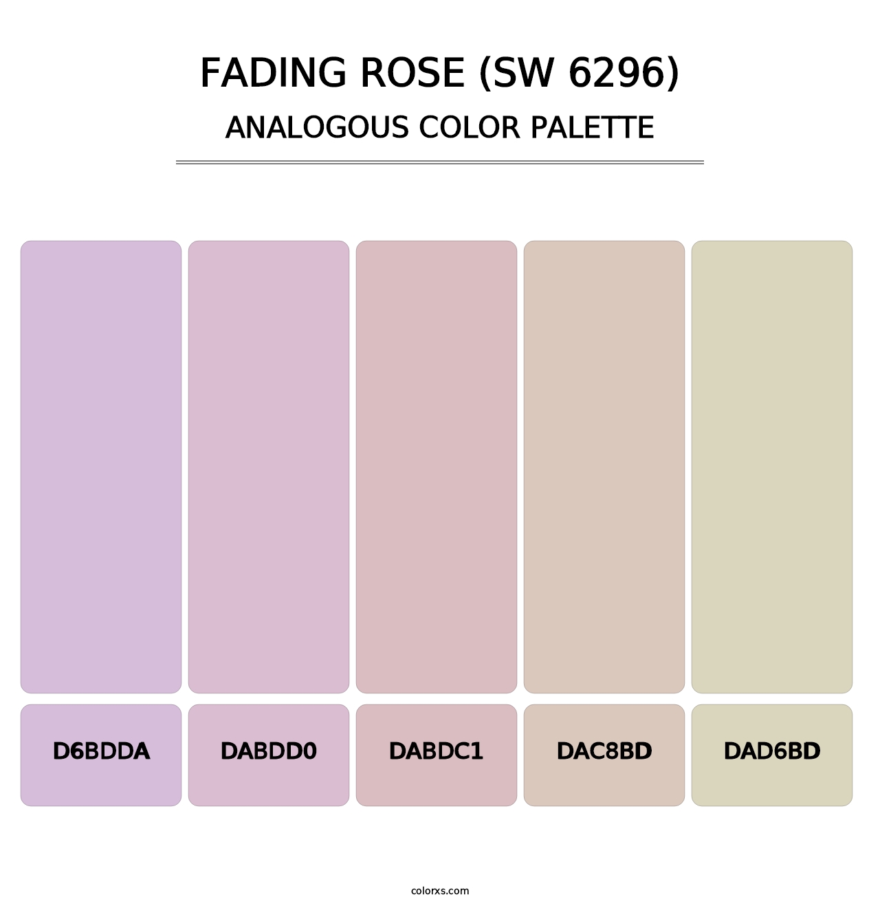 Fading Rose (SW 6296) - Analogous Color Palette