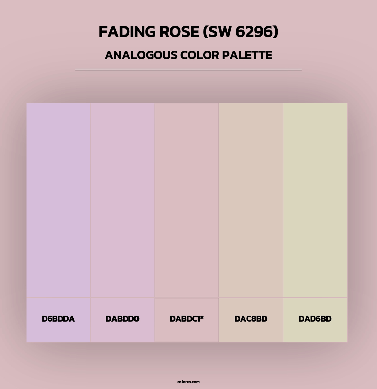 Fading Rose (SW 6296) - Analogous Color Palette