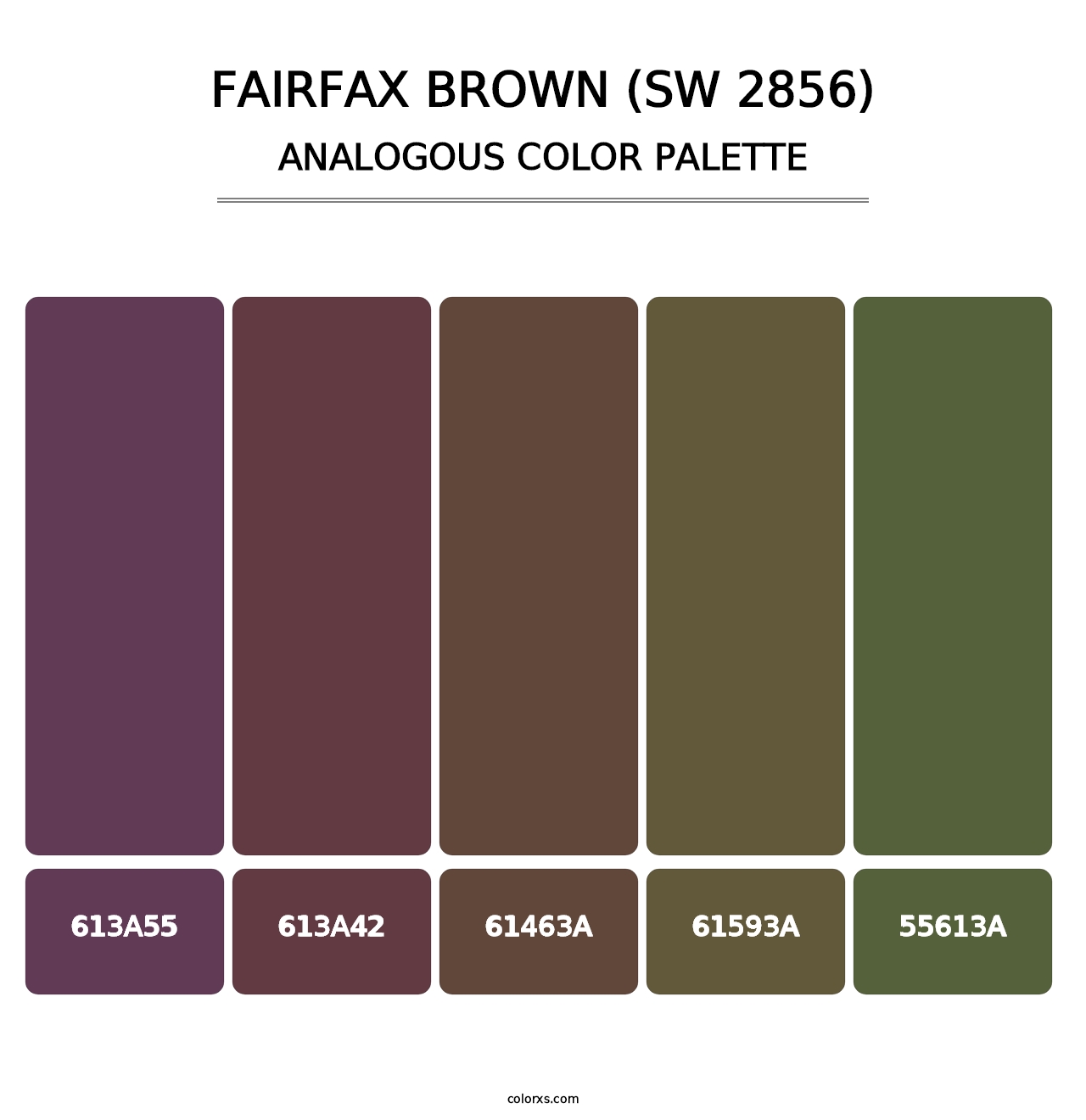 Fairfax Brown (SW 2856) - Analogous Color Palette