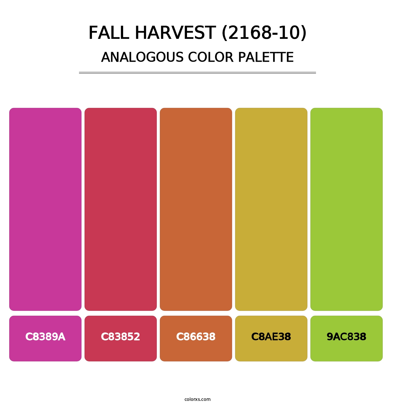 Fall Harvest (2168-10) - Analogous Color Palette