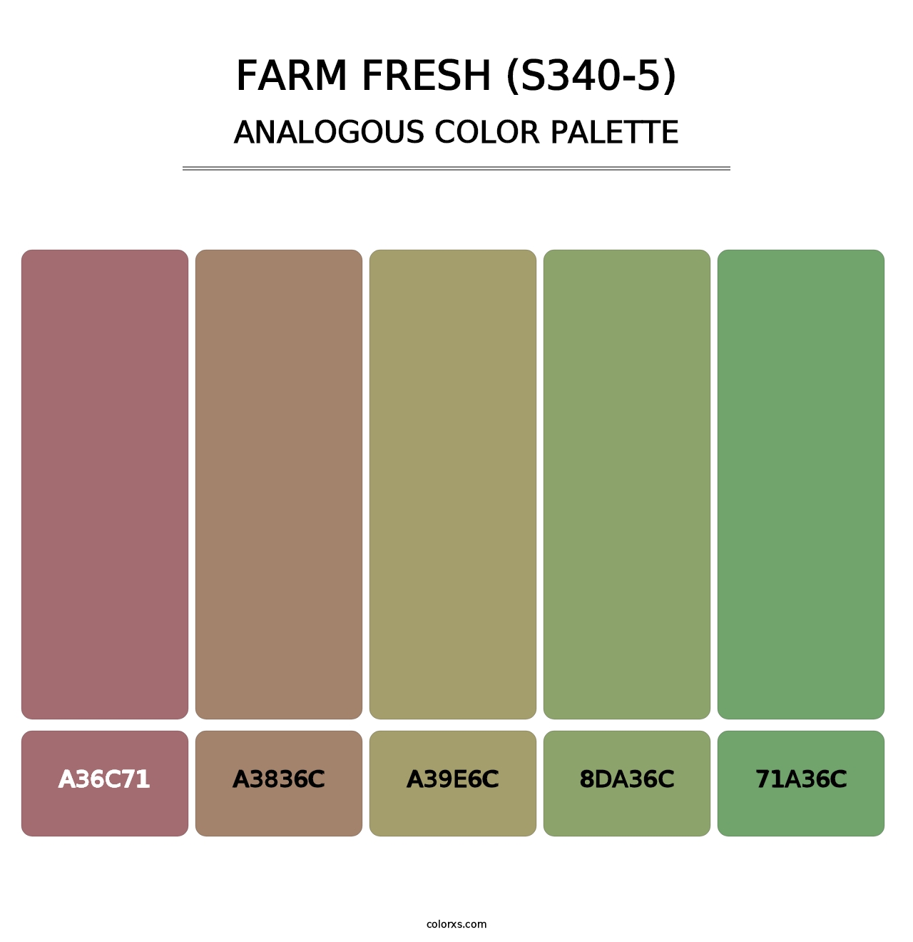 Farm Fresh (S340-5) - Analogous Color Palette