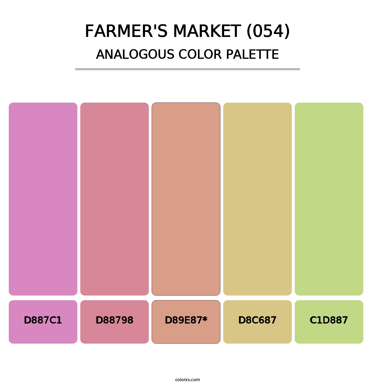 Farmer's Market (054) - Analogous Color Palette