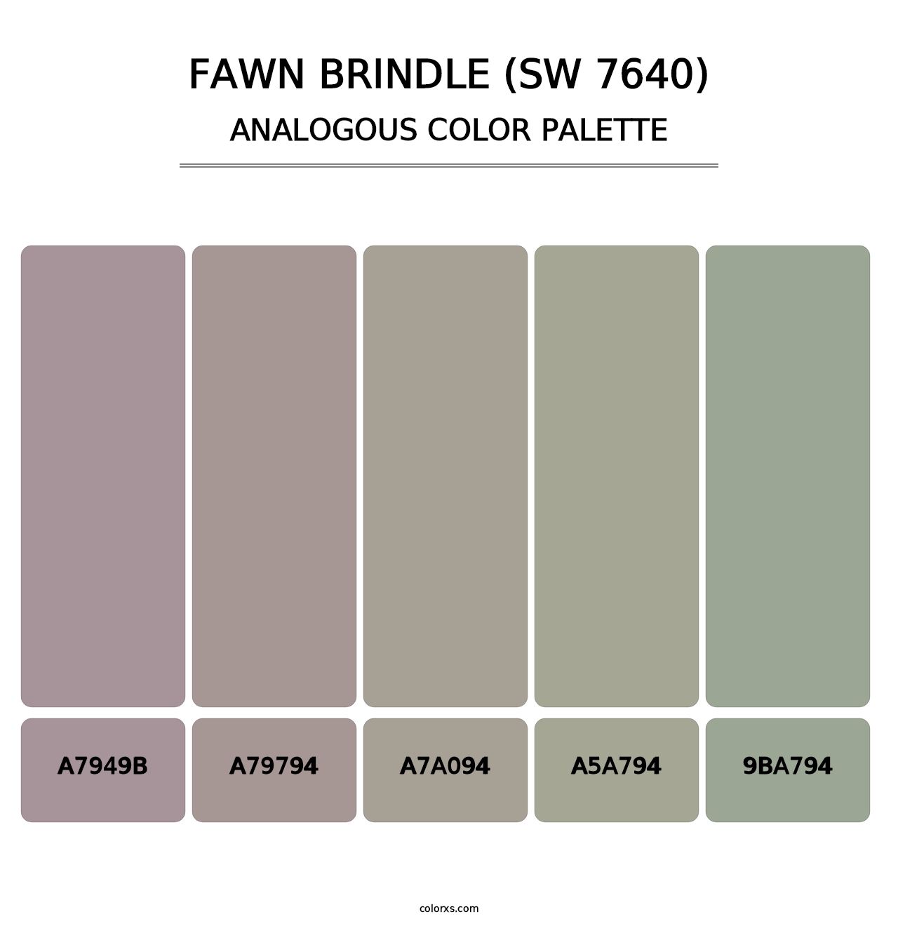 Fawn Brindle (SW 7640) - Analogous Color Palette