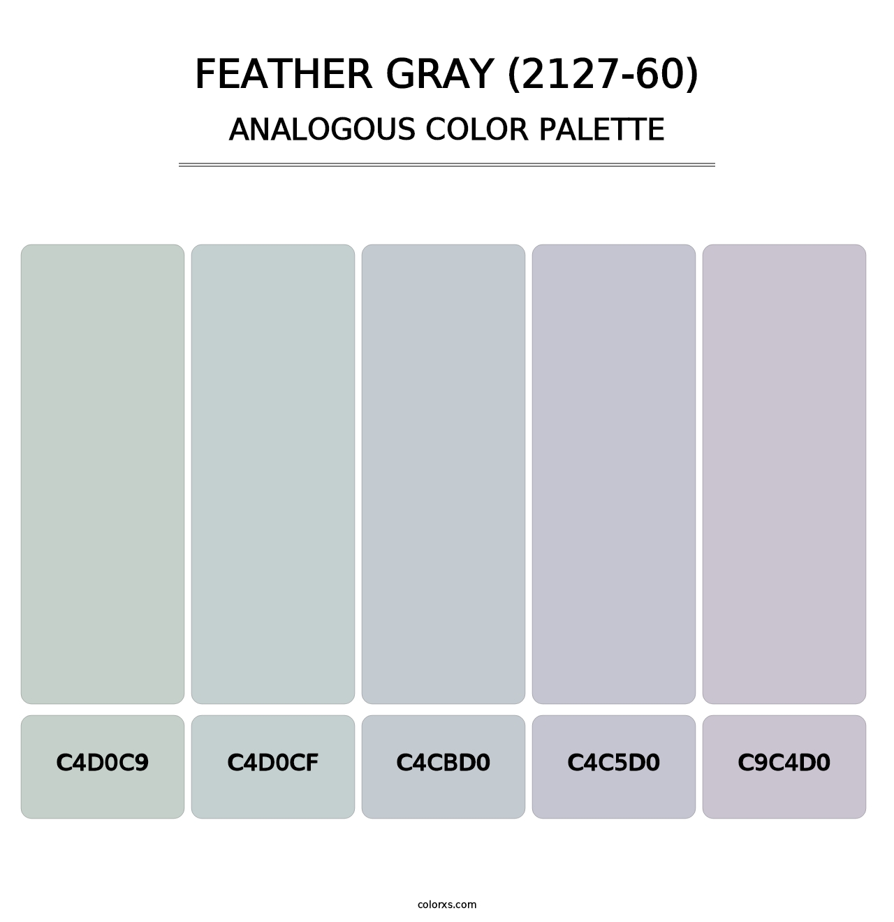 Feather Gray (2127-60) - Analogous Color Palette