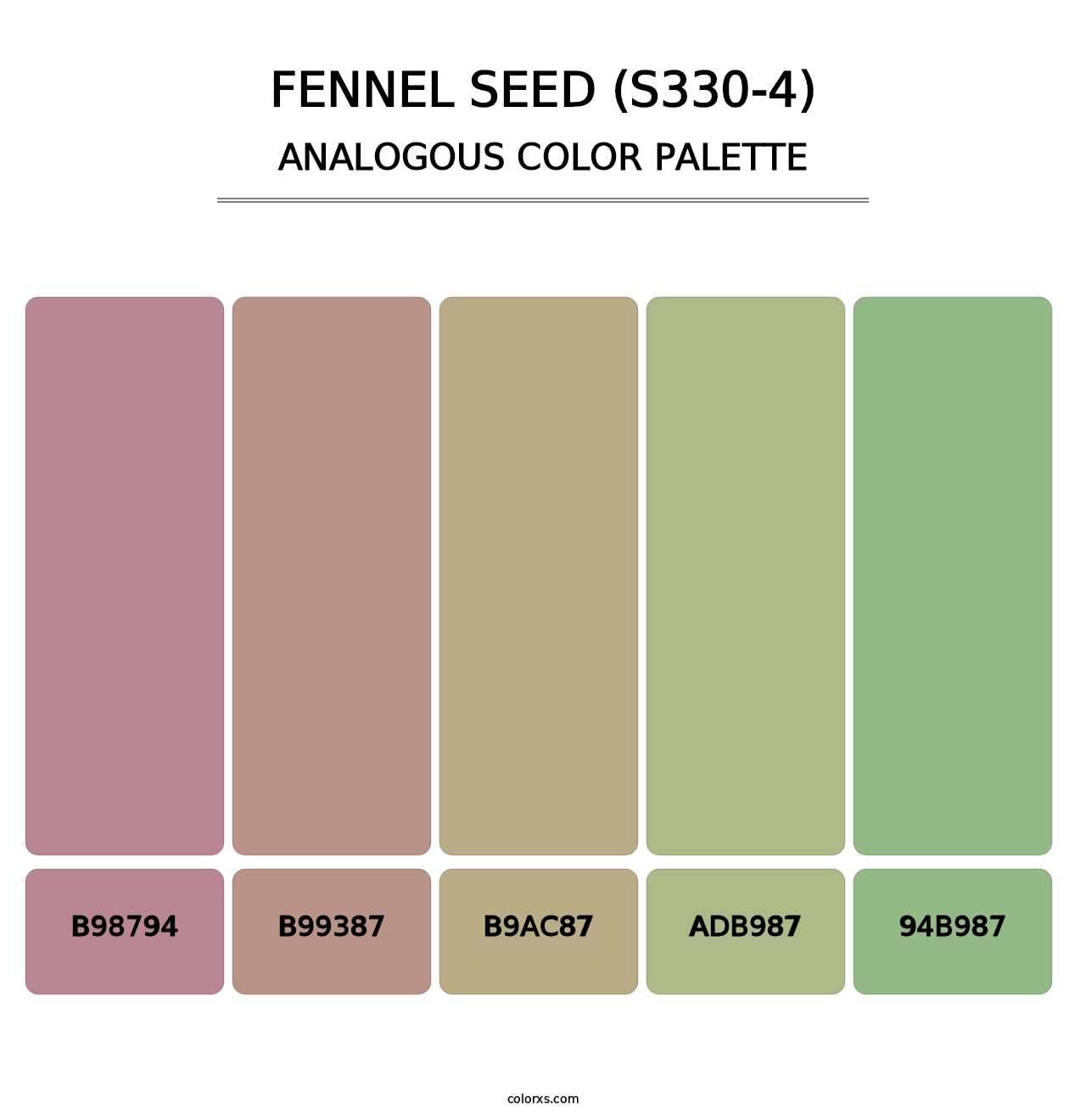 Fennel Seed (S330-4) - Analogous Color Palette