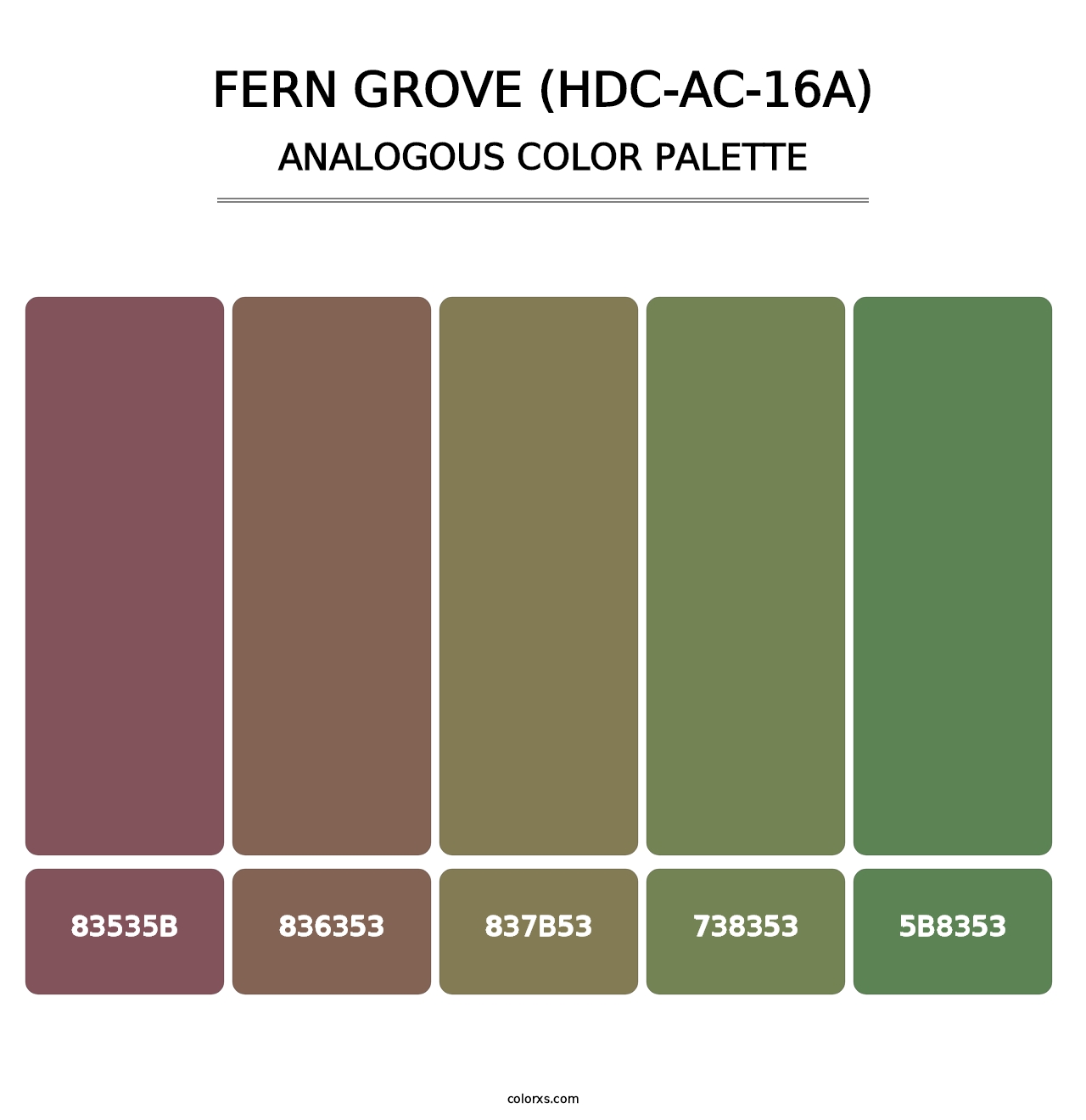 Fern Grove (HDC-AC-16A) - Analogous Color Palette