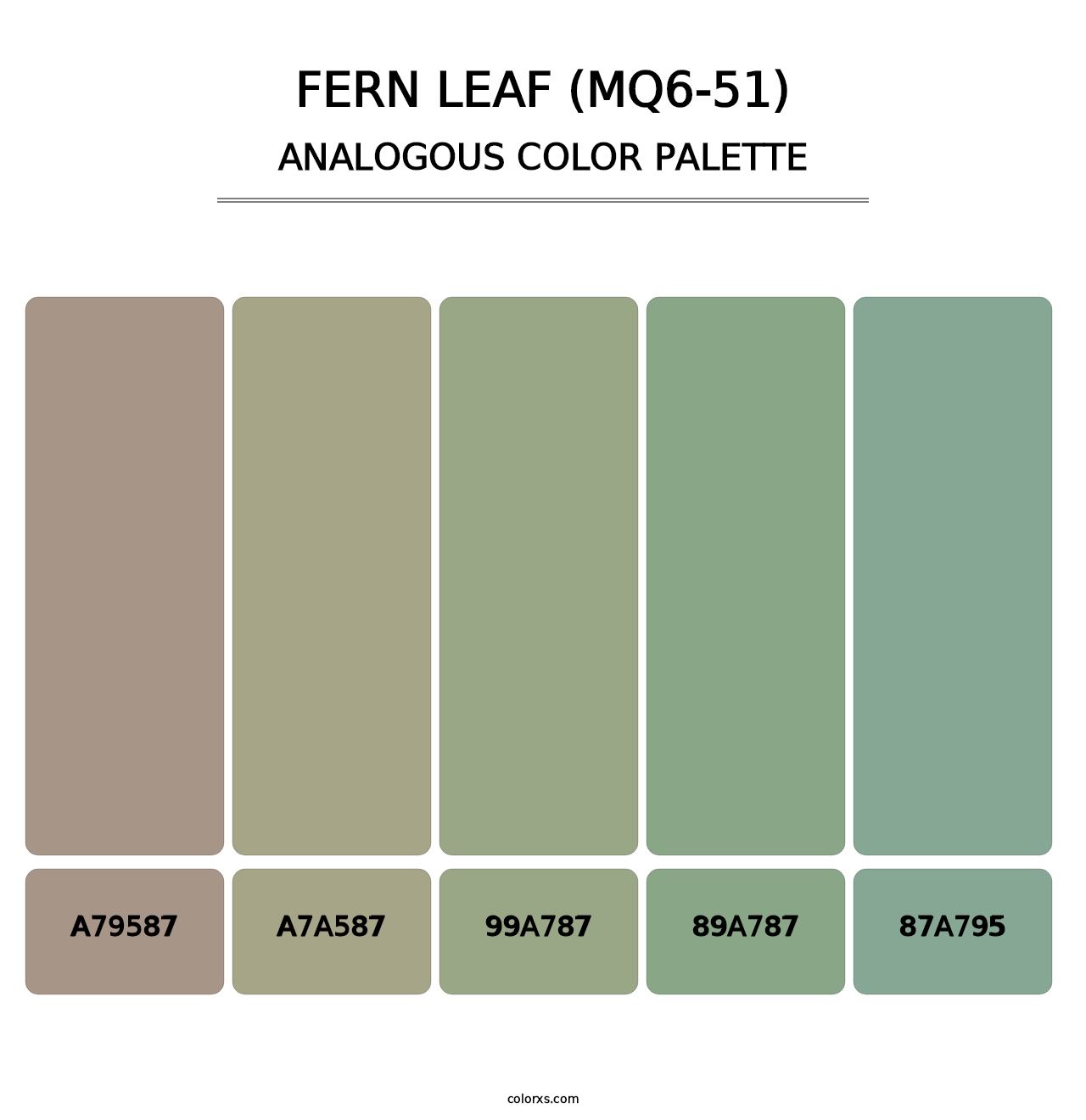 Fern Leaf (MQ6-51) - Analogous Color Palette