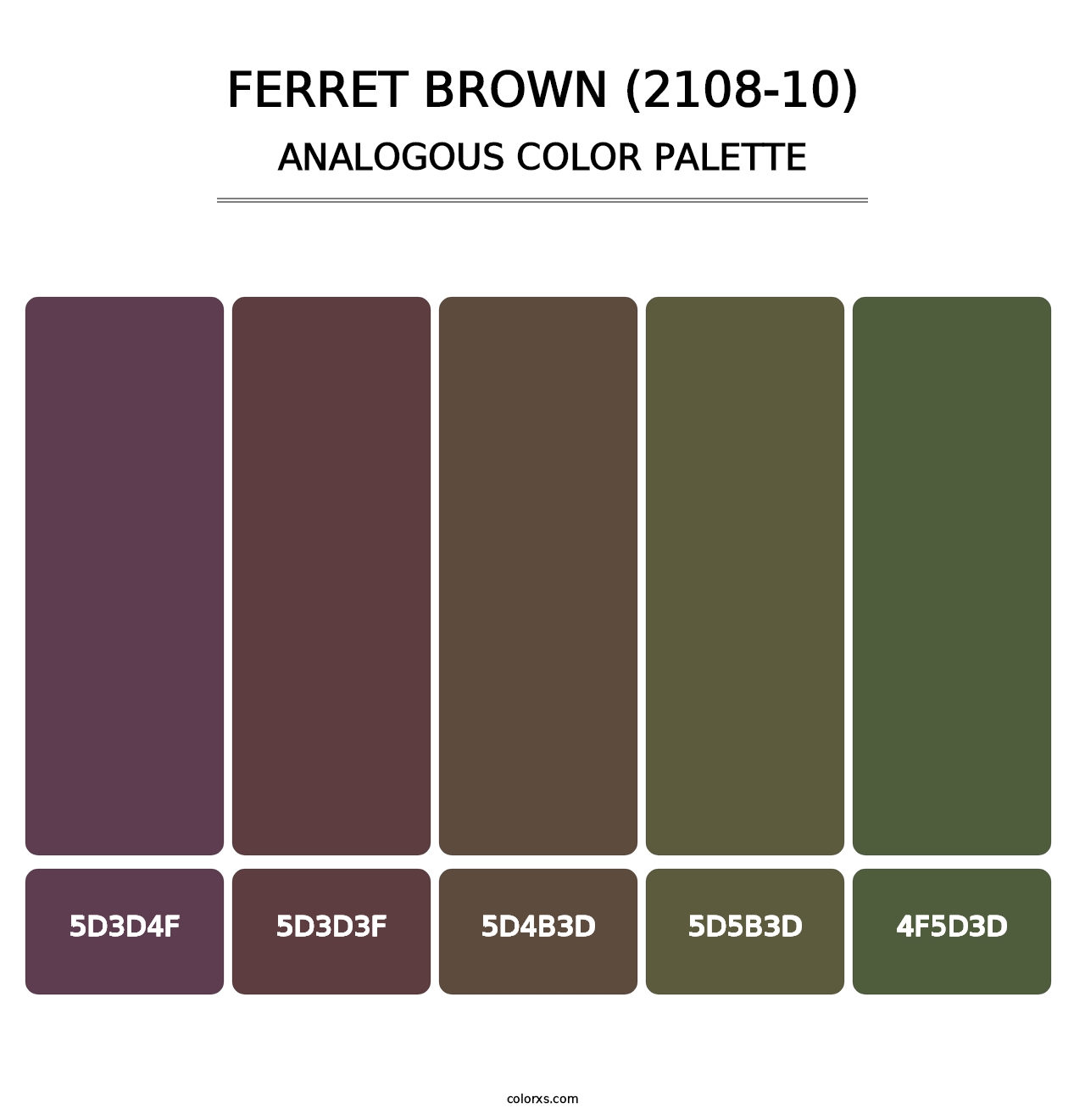 Ferret Brown (2108-10) - Analogous Color Palette