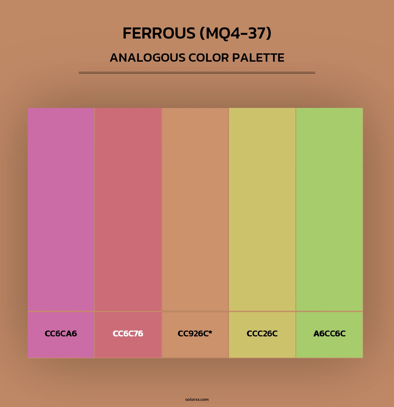 Ferrous (MQ4-37) - Analogous Color Palette