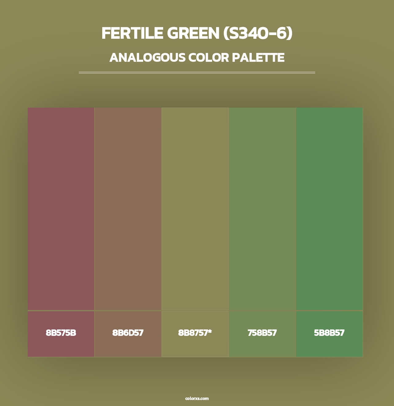 Fertile Green (S340-6) - Analogous Color Palette