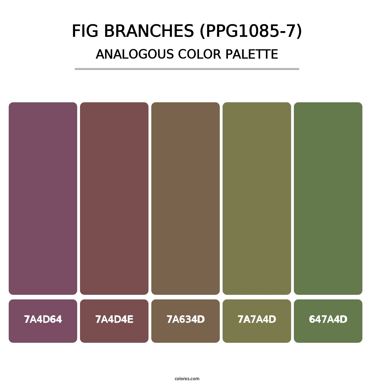 Fig Branches (PPG1085-7) - Analogous Color Palette