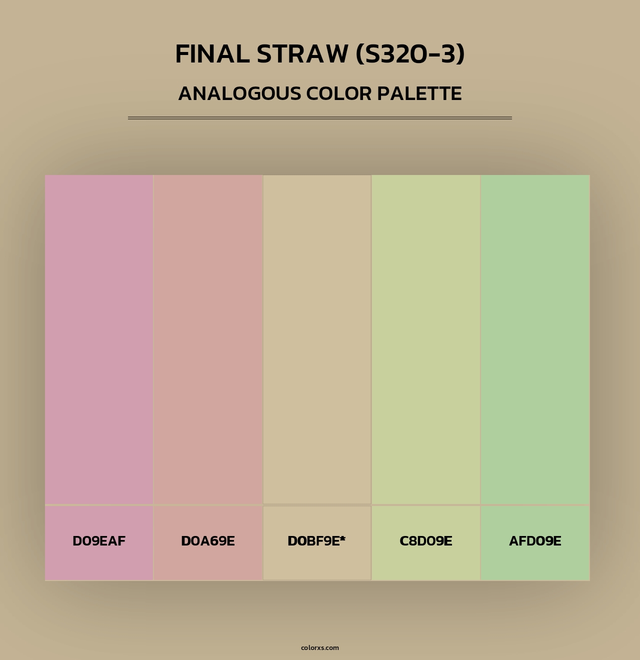 Final Straw (S320-3) - Analogous Color Palette