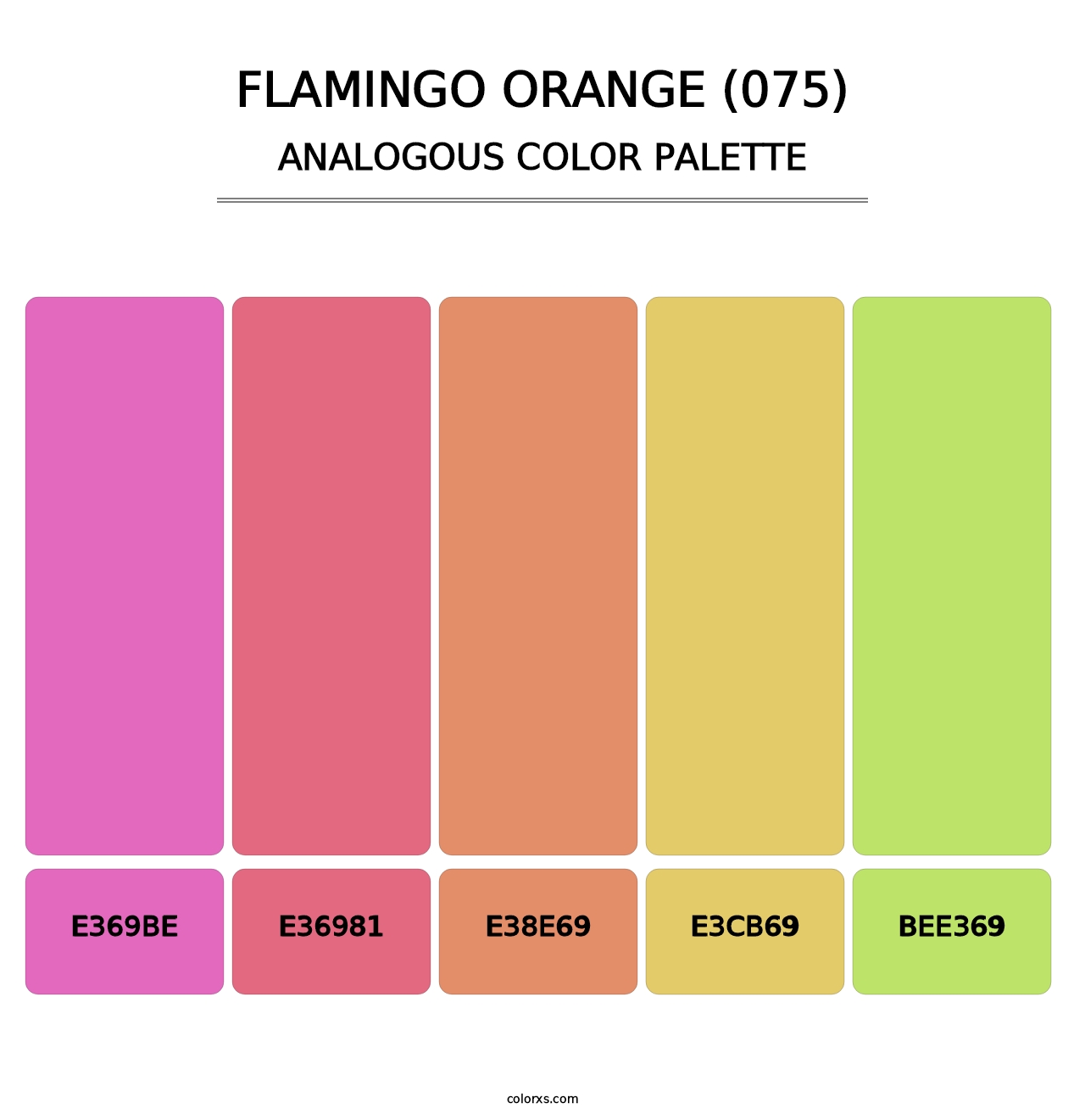 Flamingo Orange (075) - Analogous Color Palette