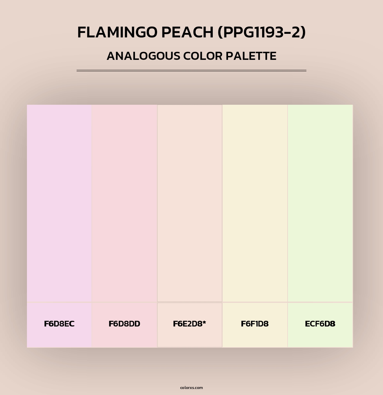 Flamingo Peach (PPG1193-2) - Analogous Color Palette