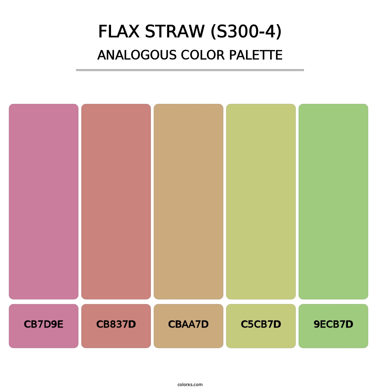 Flax Straw (S300-4) - Analogous Color Palette