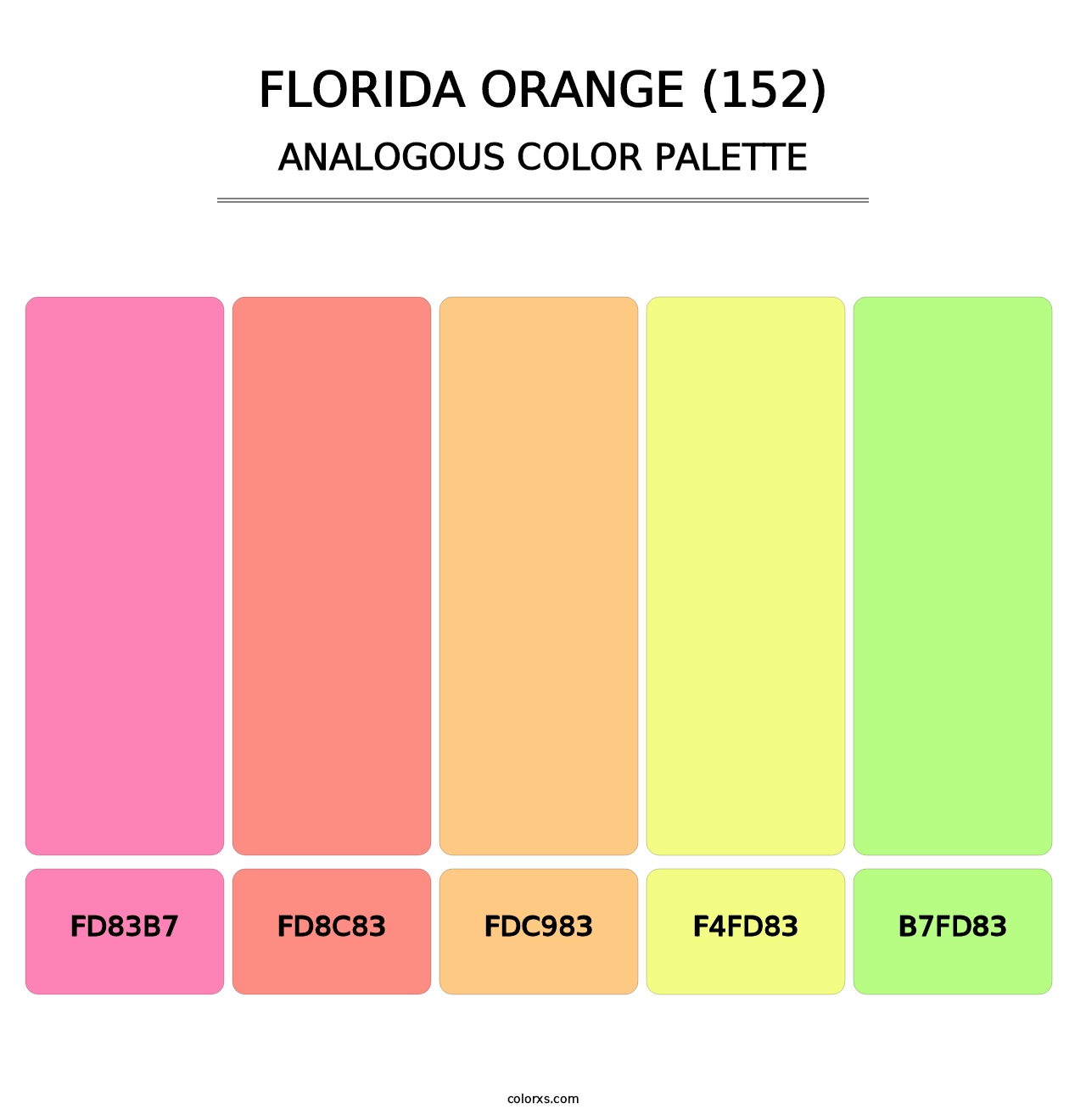 Florida Orange (152) - Analogous Color Palette