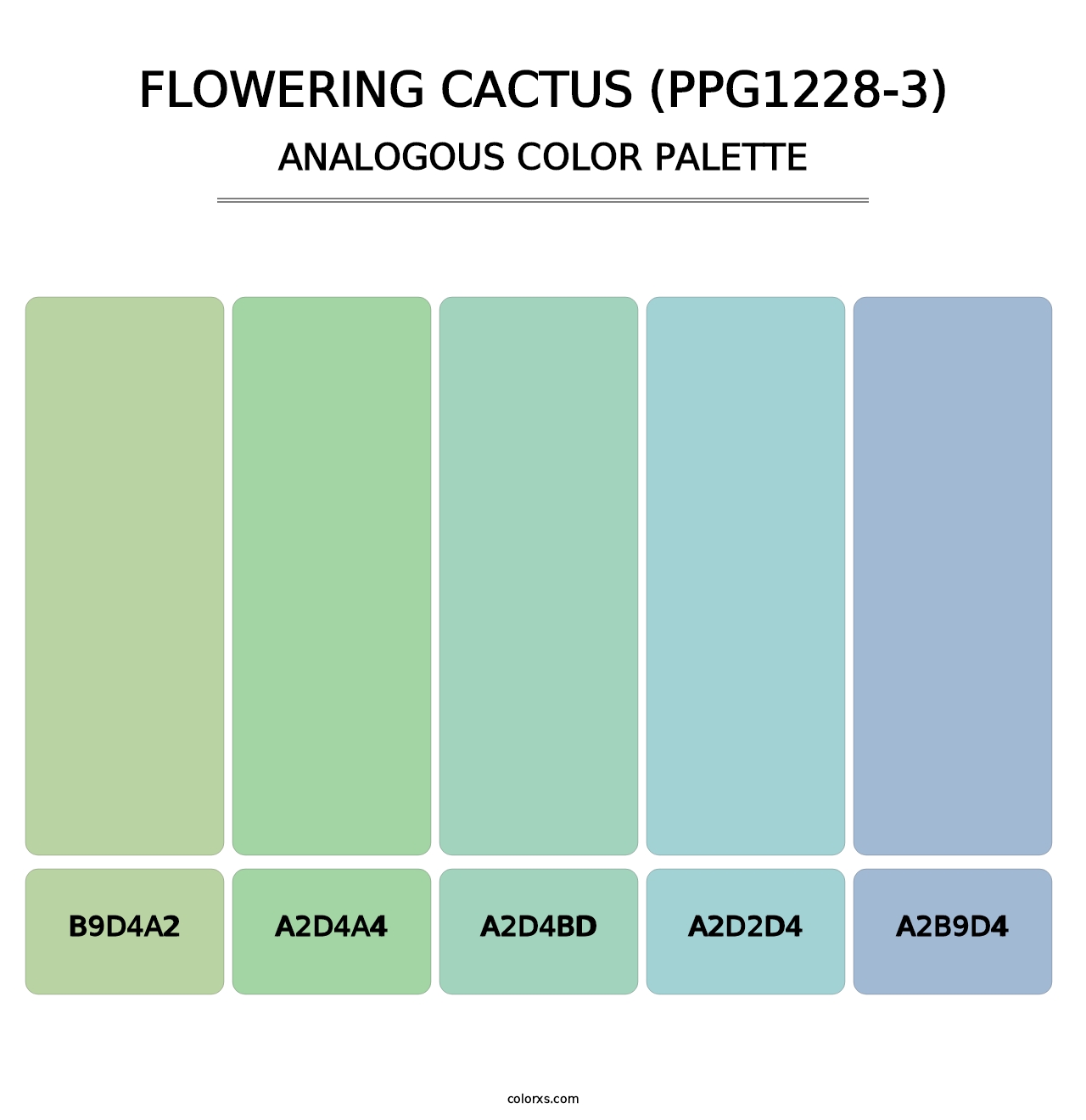Flowering Cactus (PPG1228-3) - Analogous Color Palette