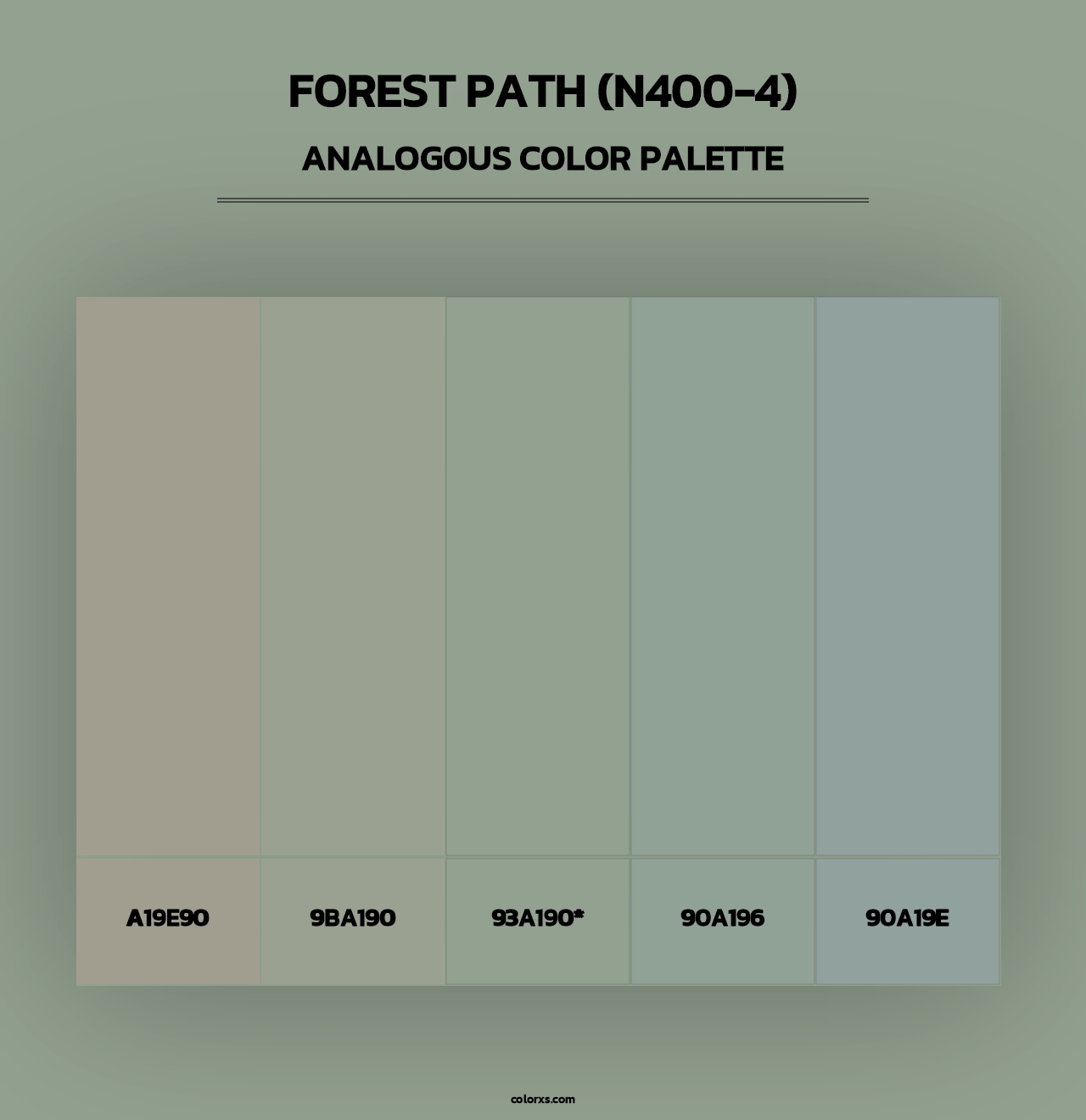 Forest Path (N400-4) - Analogous Color Palette