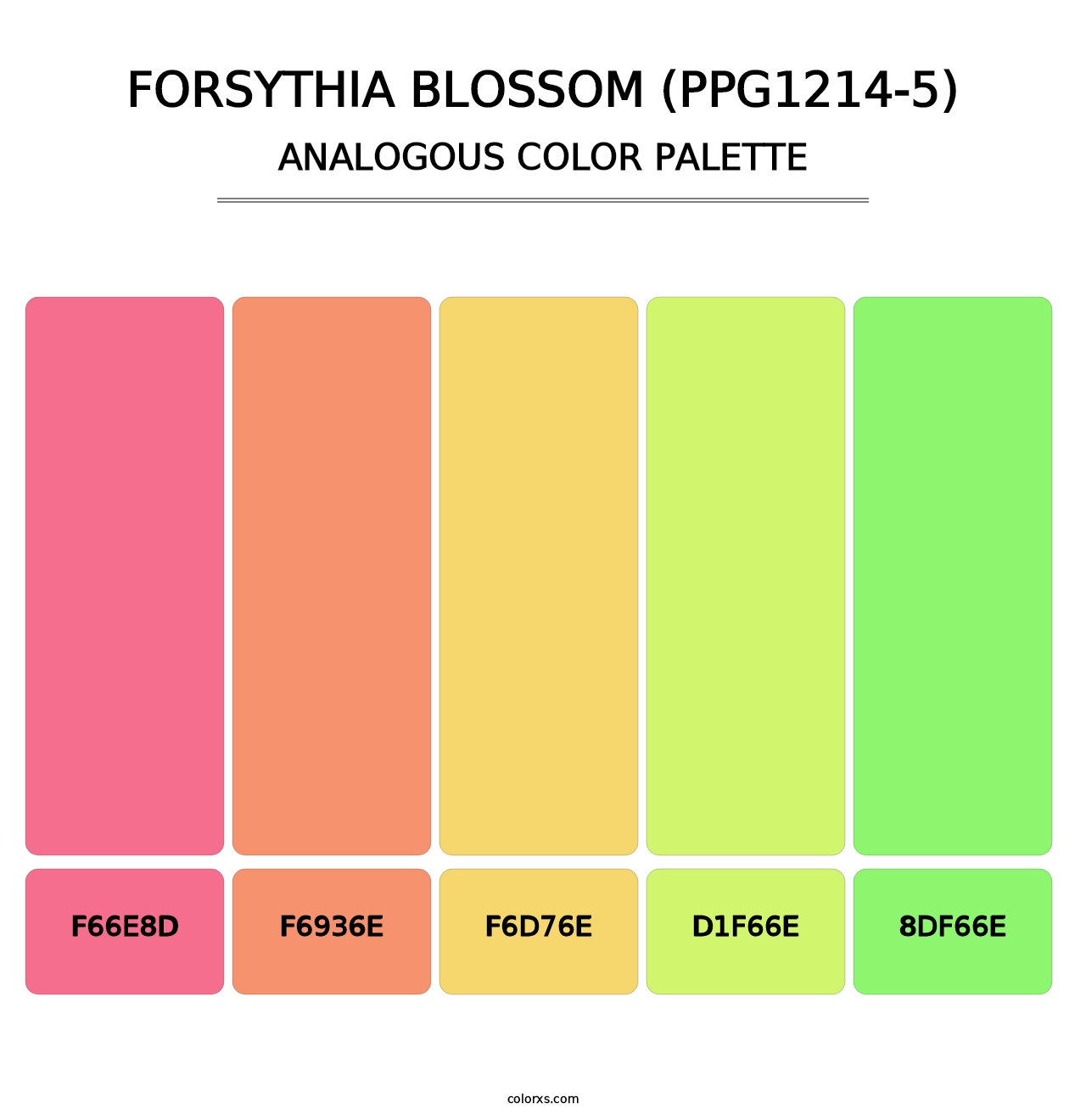Forsythia Blossom (PPG1214-5) - Analogous Color Palette