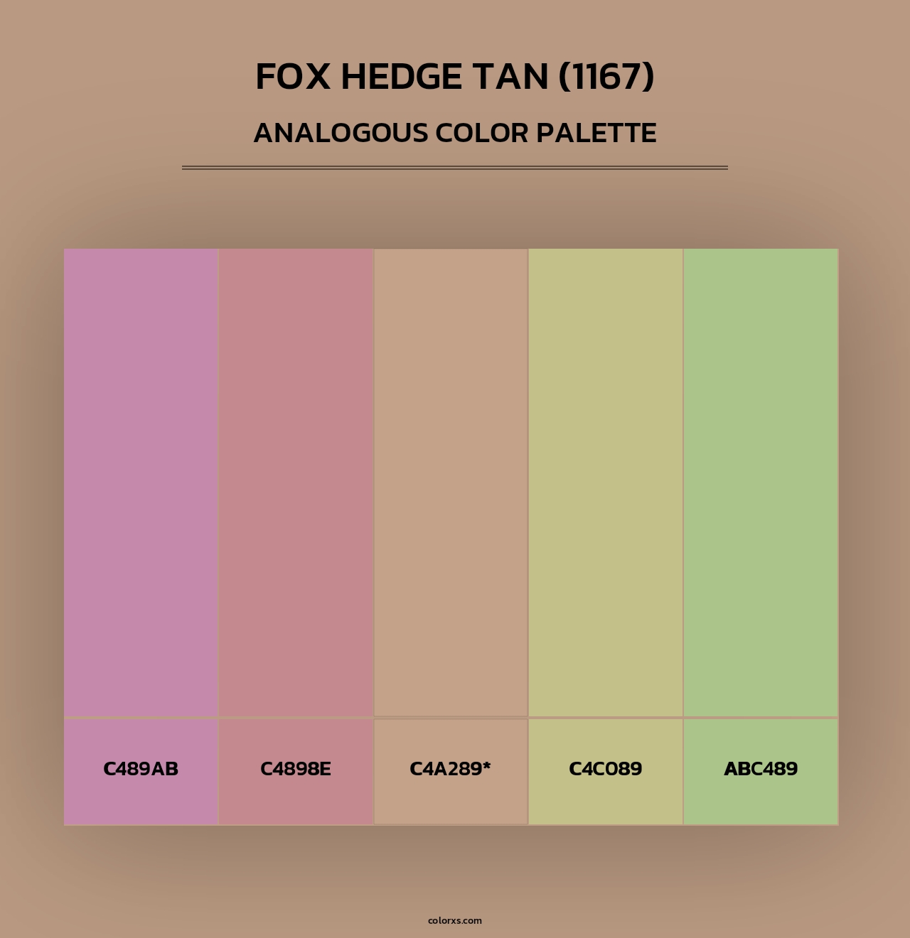 Fox Hedge Tan (1167) - Analogous Color Palette
