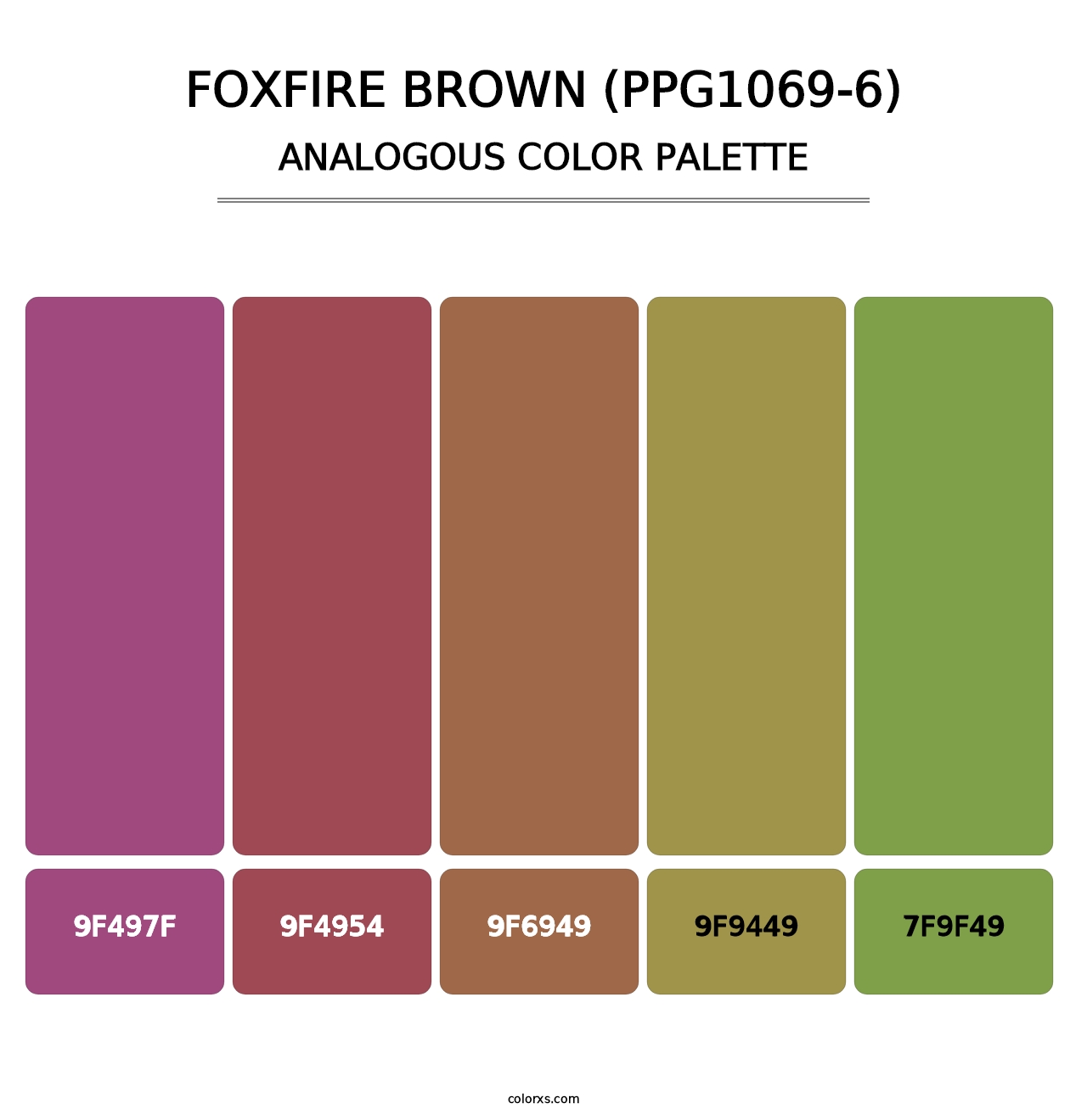 Foxfire Brown (PPG1069-6) - Analogous Color Palette