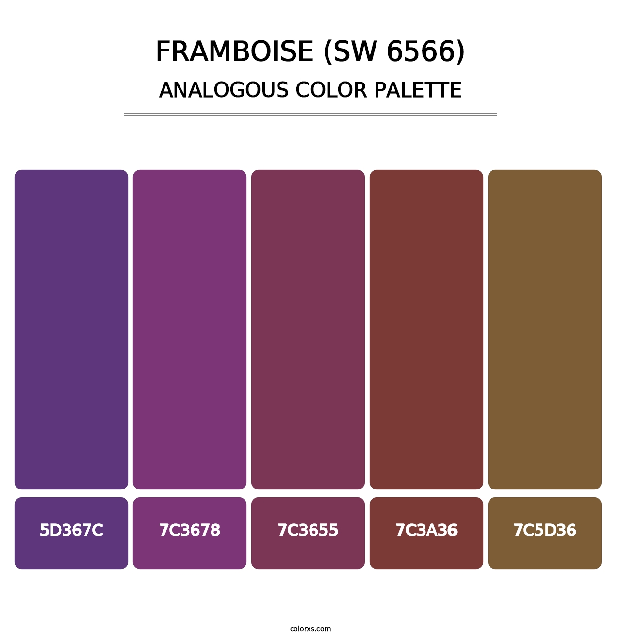 Framboise (SW 6566) - Analogous Color Palette
