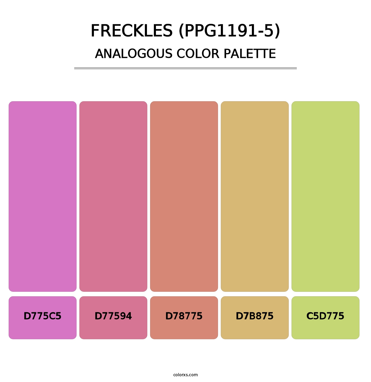 Freckles (PPG1191-5) - Analogous Color Palette