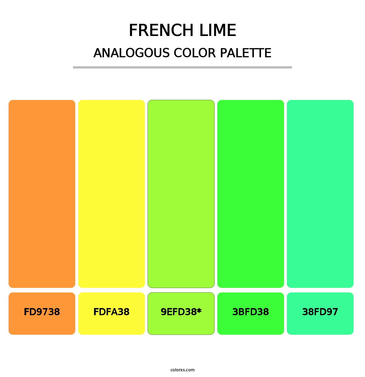 French Lime - Analogous Color Palette