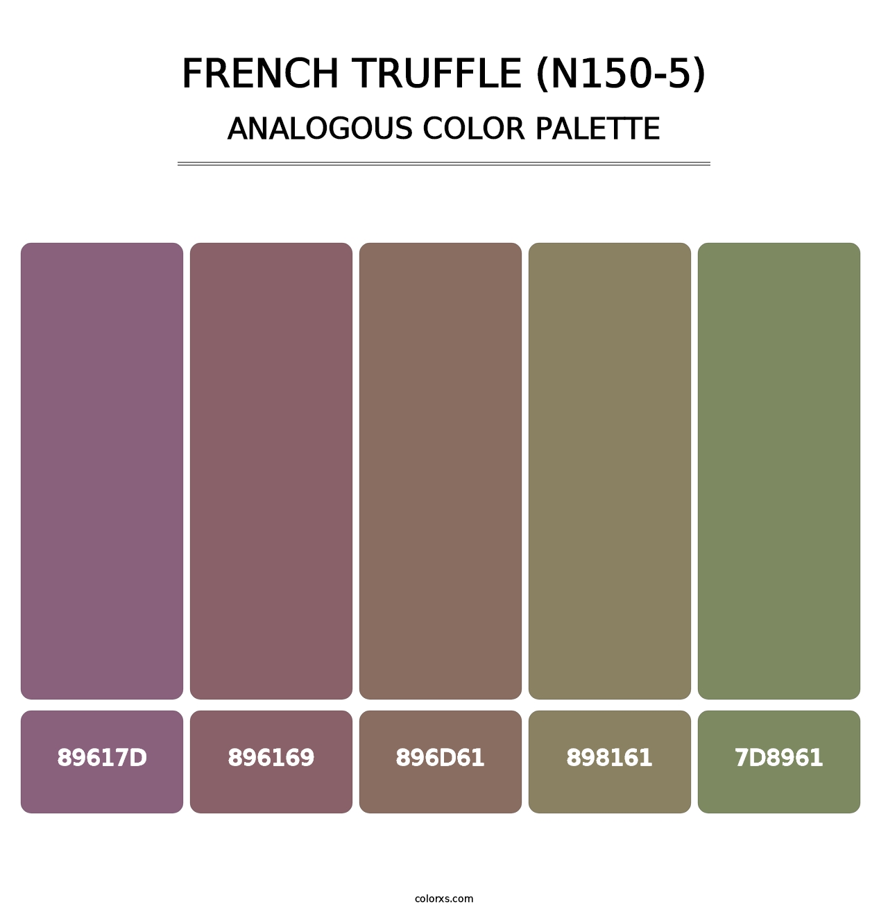 French Truffle (N150-5) - Analogous Color Palette