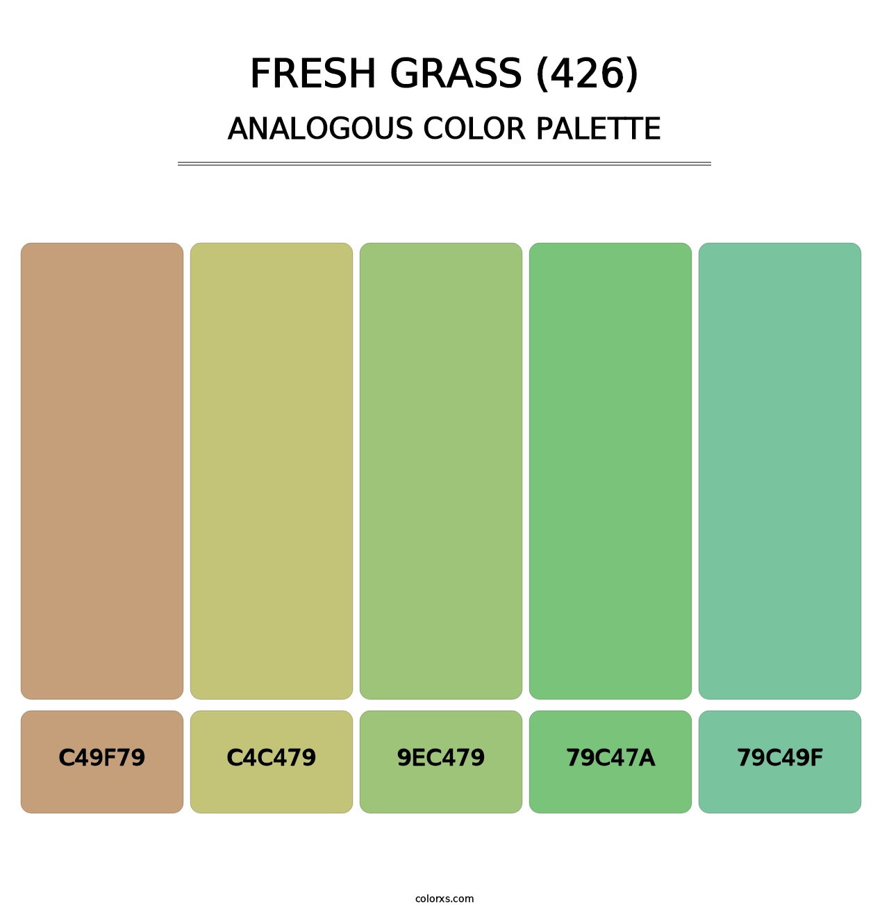 Fresh Grass (426) - Analogous Color Palette