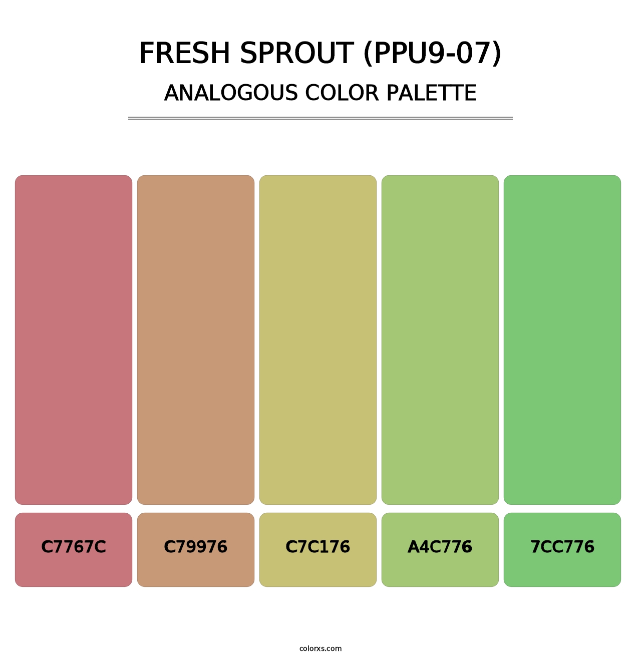 Fresh Sprout (PPU9-07) - Analogous Color Palette