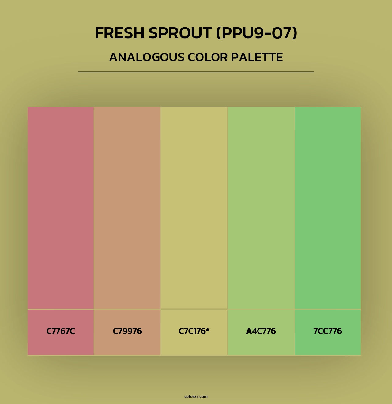 Fresh Sprout (PPU9-07) - Analogous Color Palette