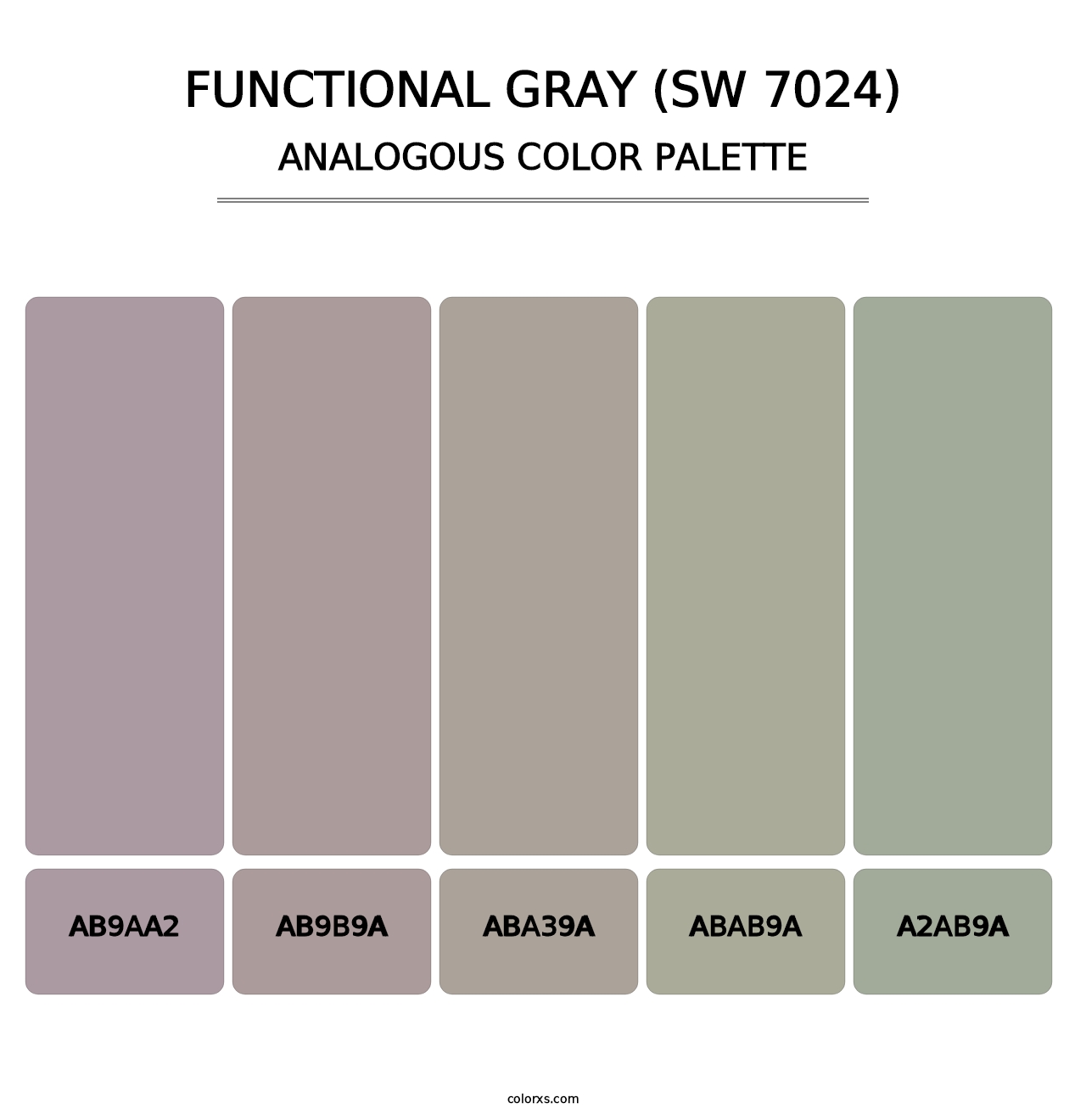 Functional Gray (SW 7024) - Analogous Color Palette