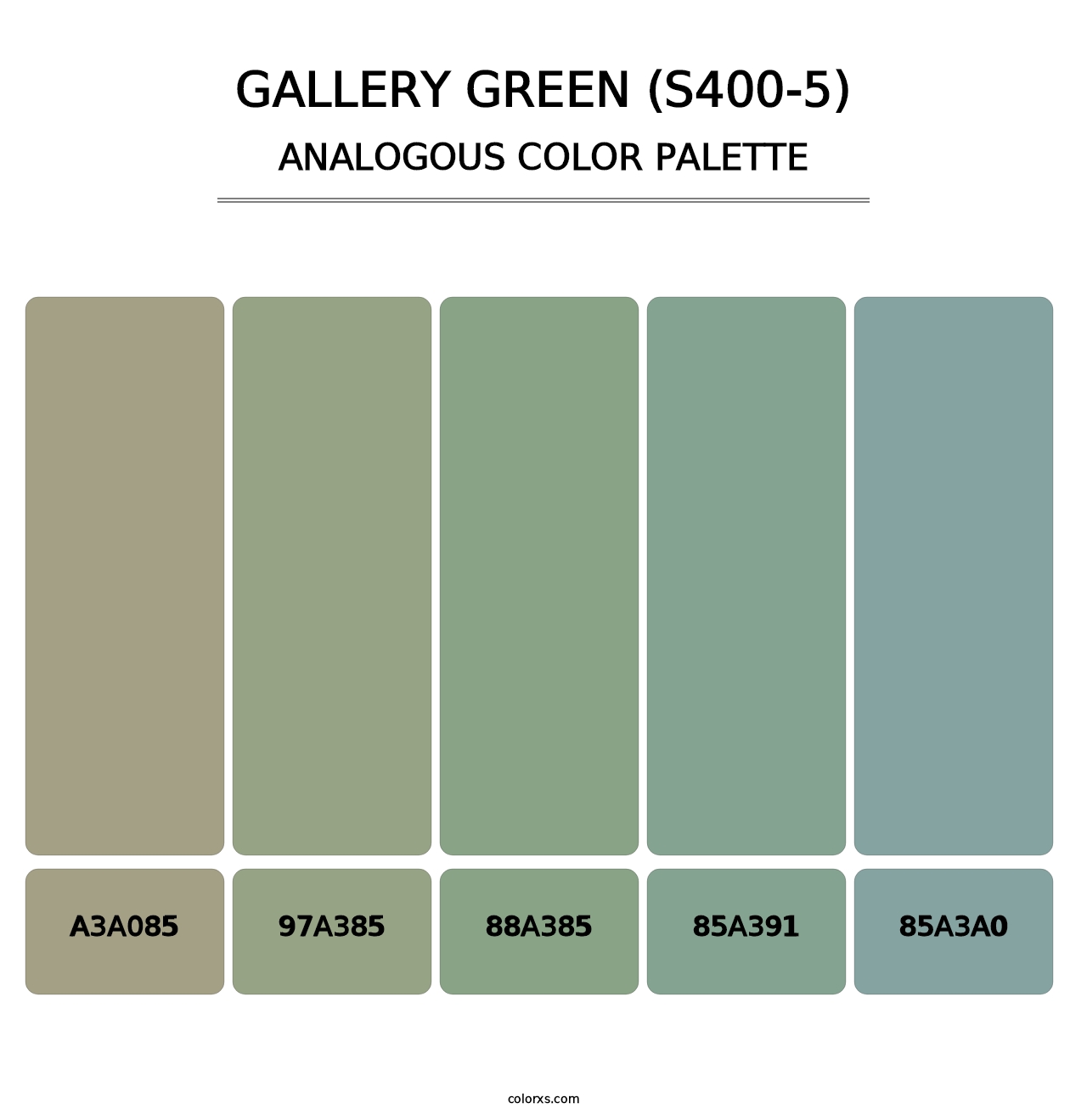 Gallery Green (S400-5) - Analogous Color Palette
