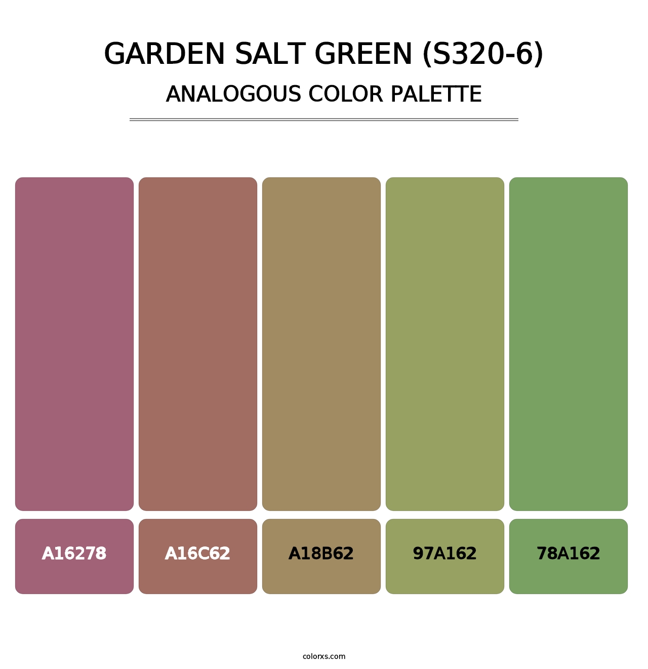 Garden Salt Green (S320-6) - Analogous Color Palette