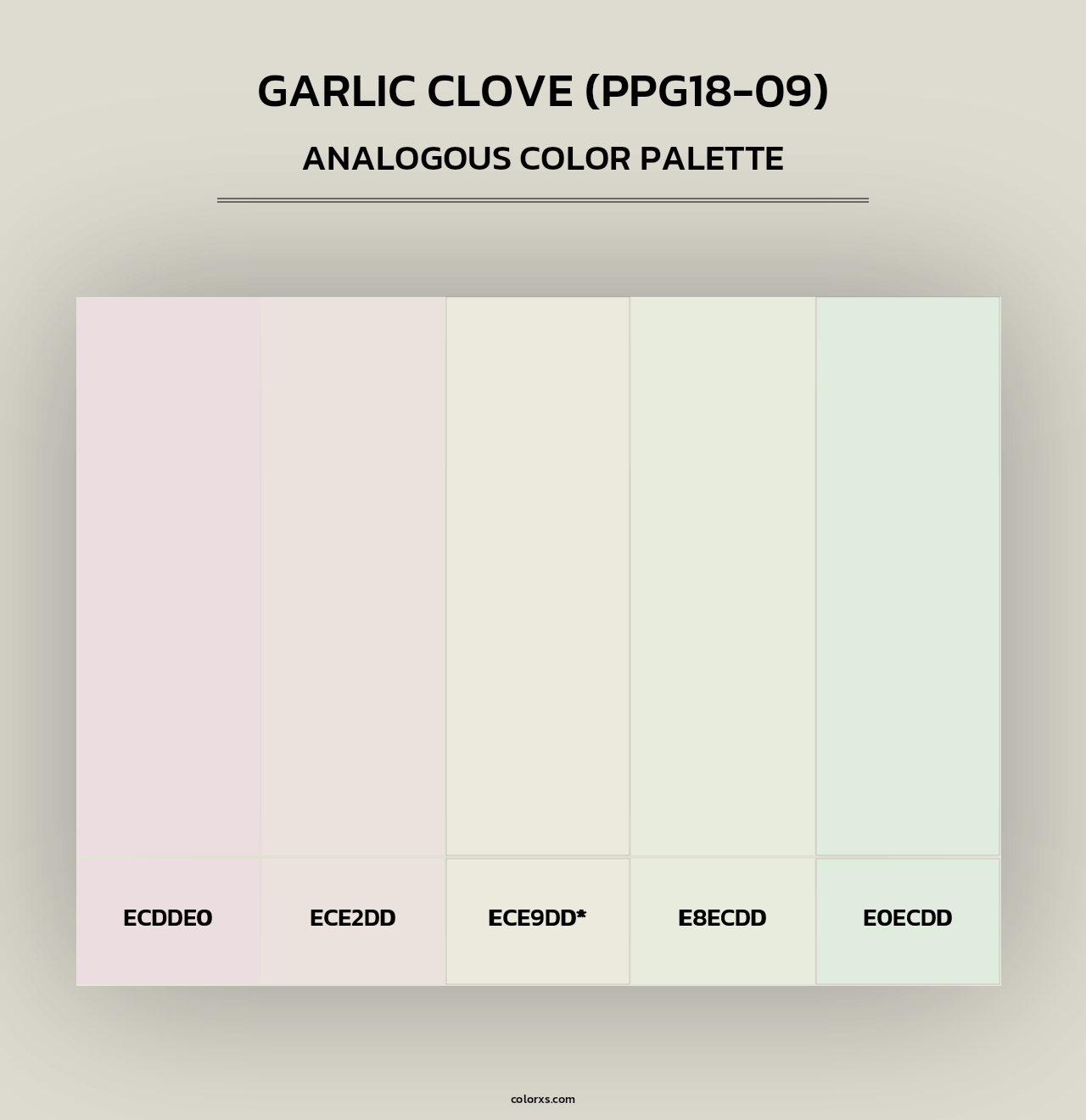 Garlic Clove (PPG18-09) - Analogous Color Palette
