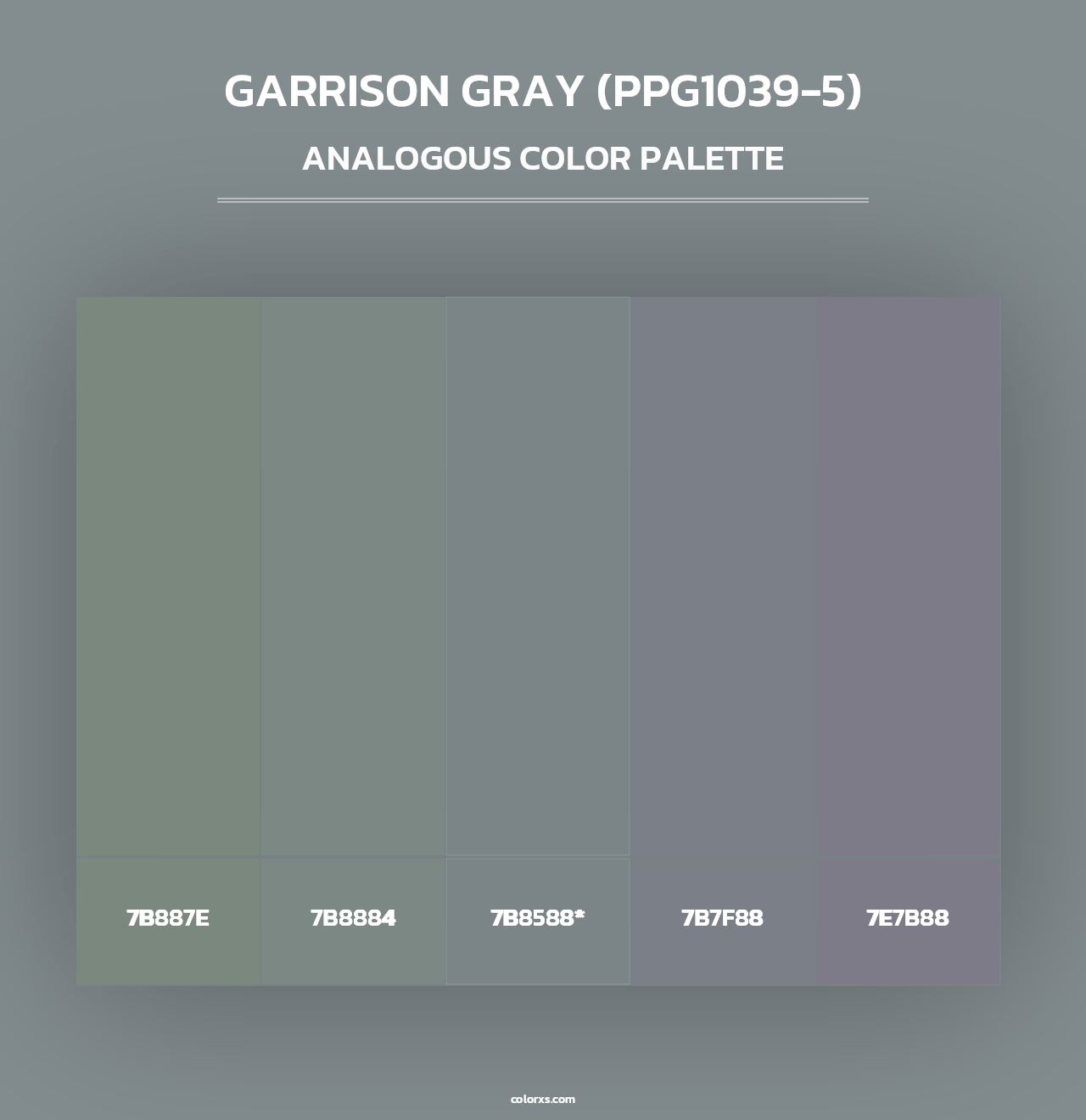 Garrison Gray (PPG1039-5) - Analogous Color Palette