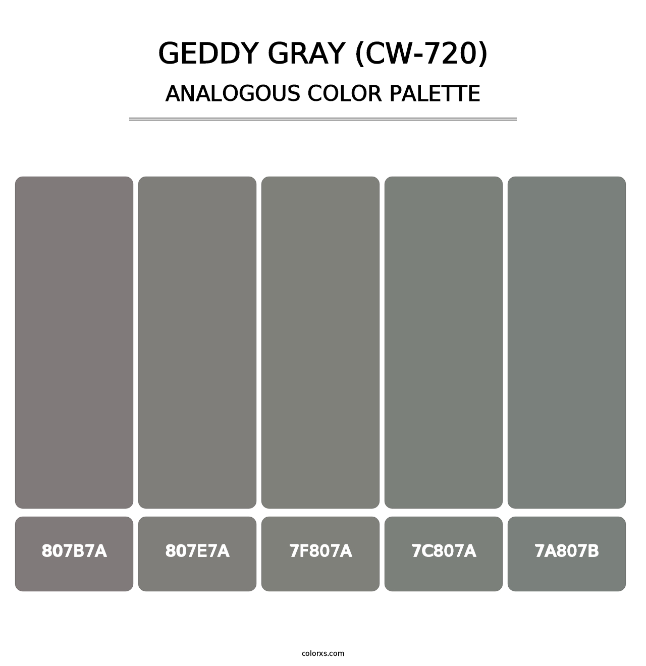 Geddy Gray (CW-720) - Analogous Color Palette