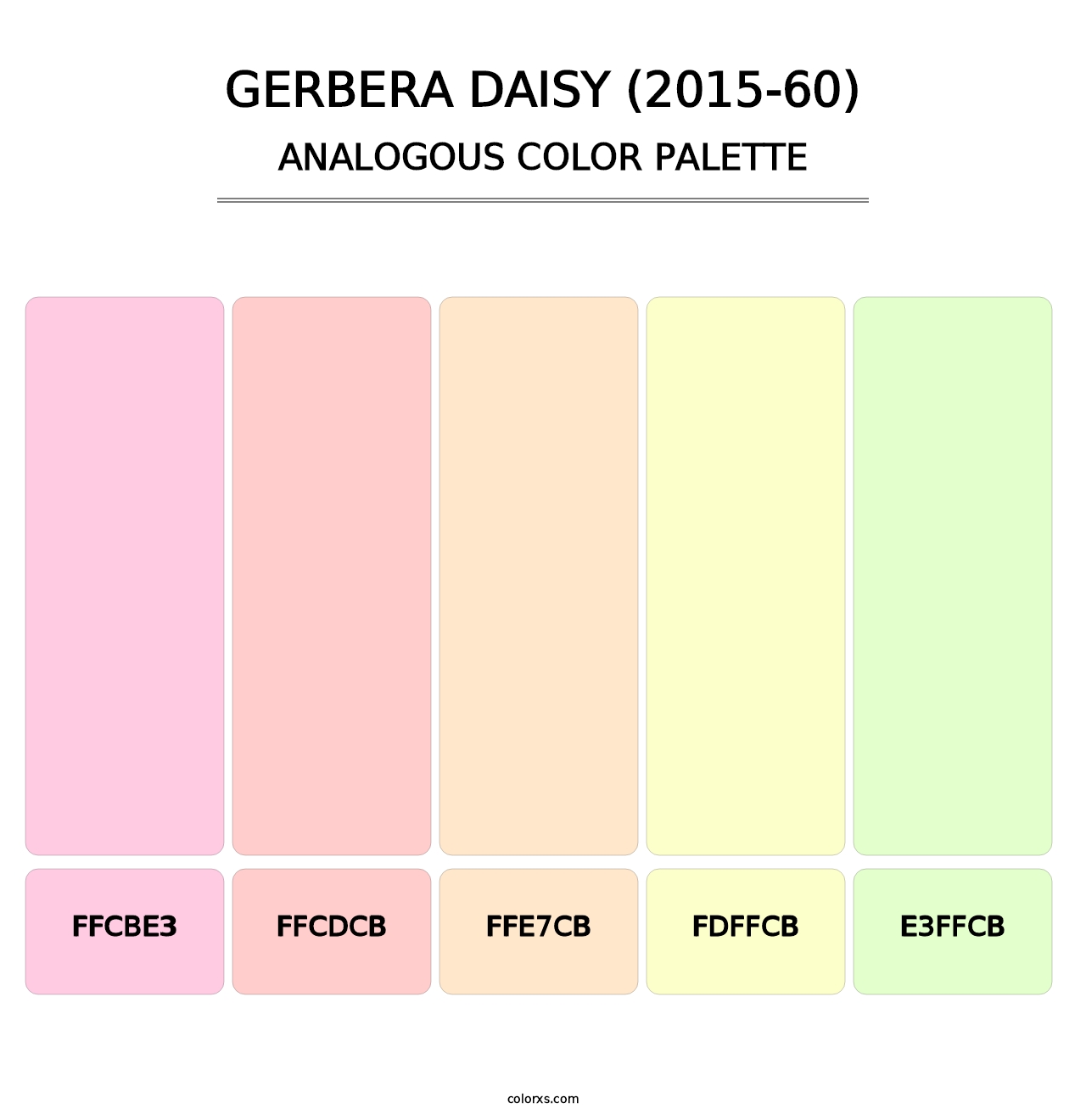 Gerbera Daisy (2015-60) - Analogous Color Palette