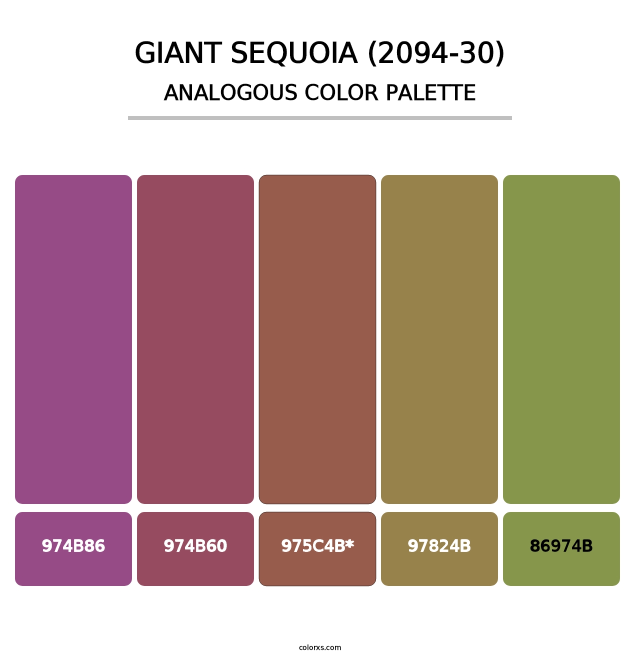 Giant Sequoia (2094-30) - Analogous Color Palette