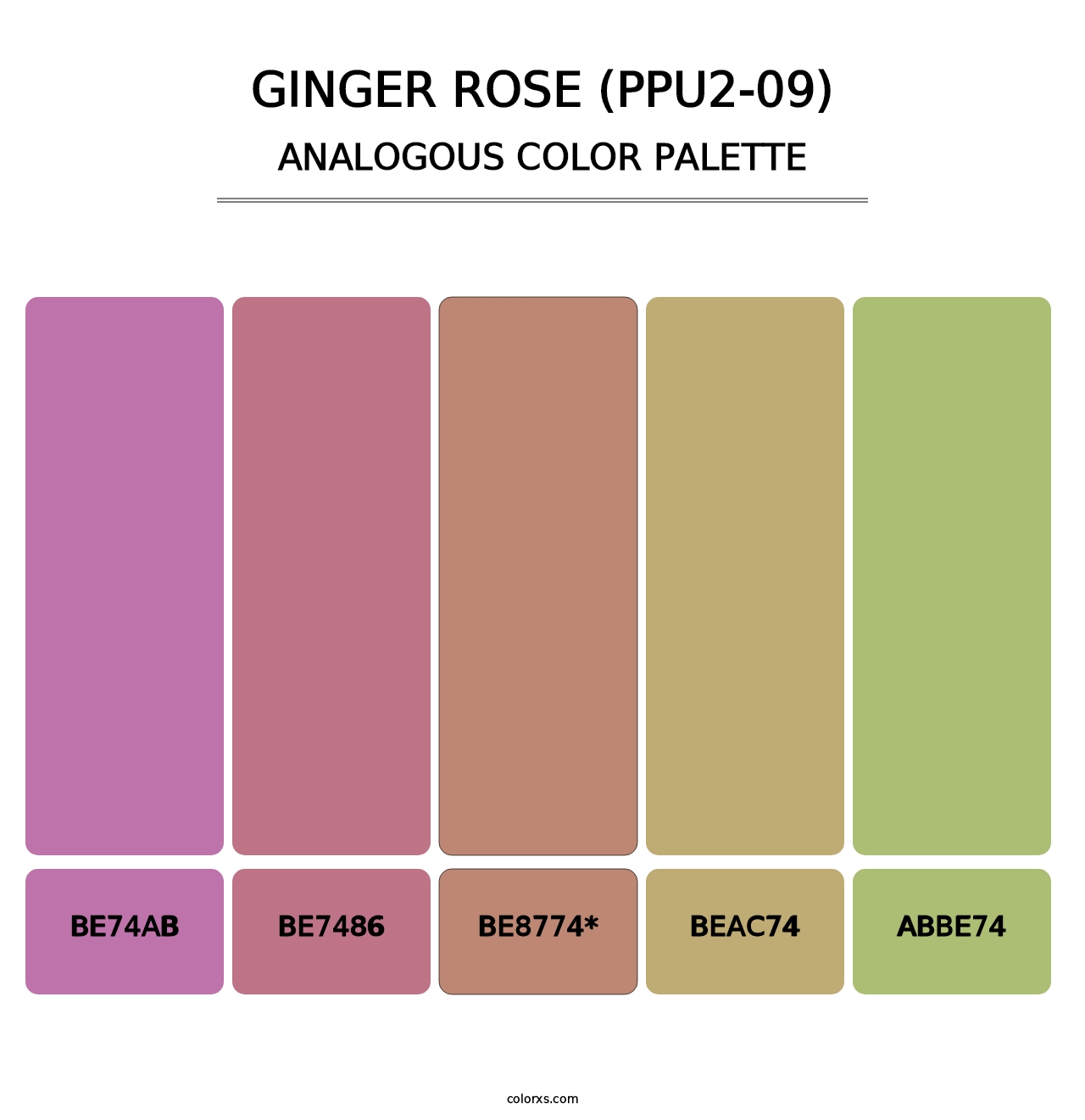 Ginger Rose (PPU2-09) - Analogous Color Palette