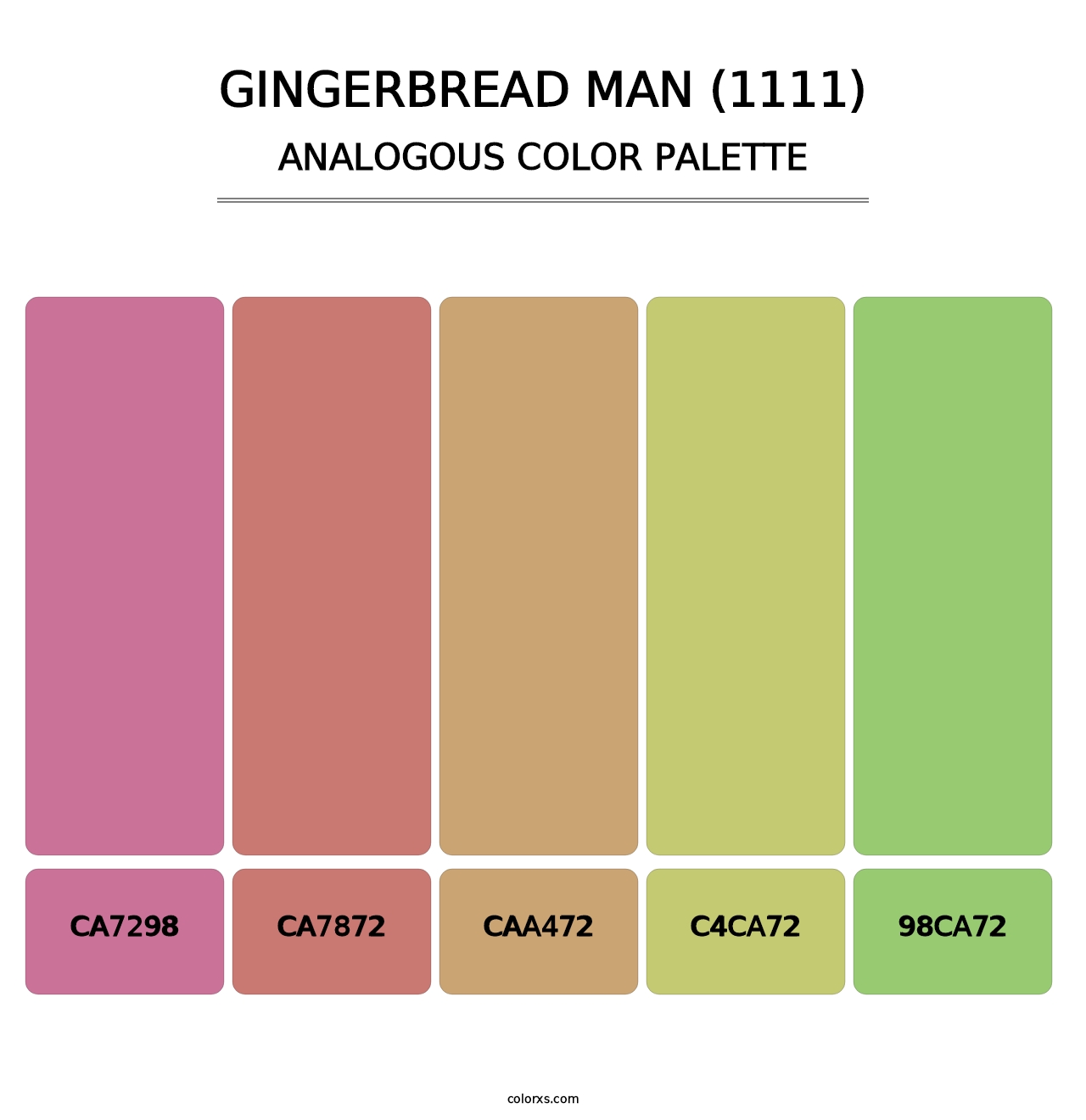 Gingerbread Man (1111) - Analogous Color Palette