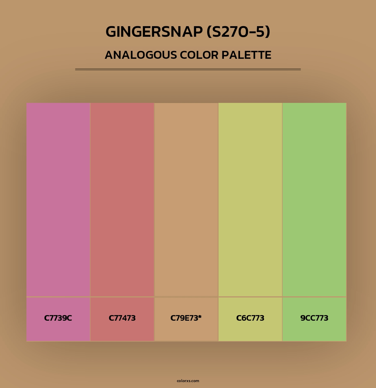 Gingersnap (S270-5) - Analogous Color Palette