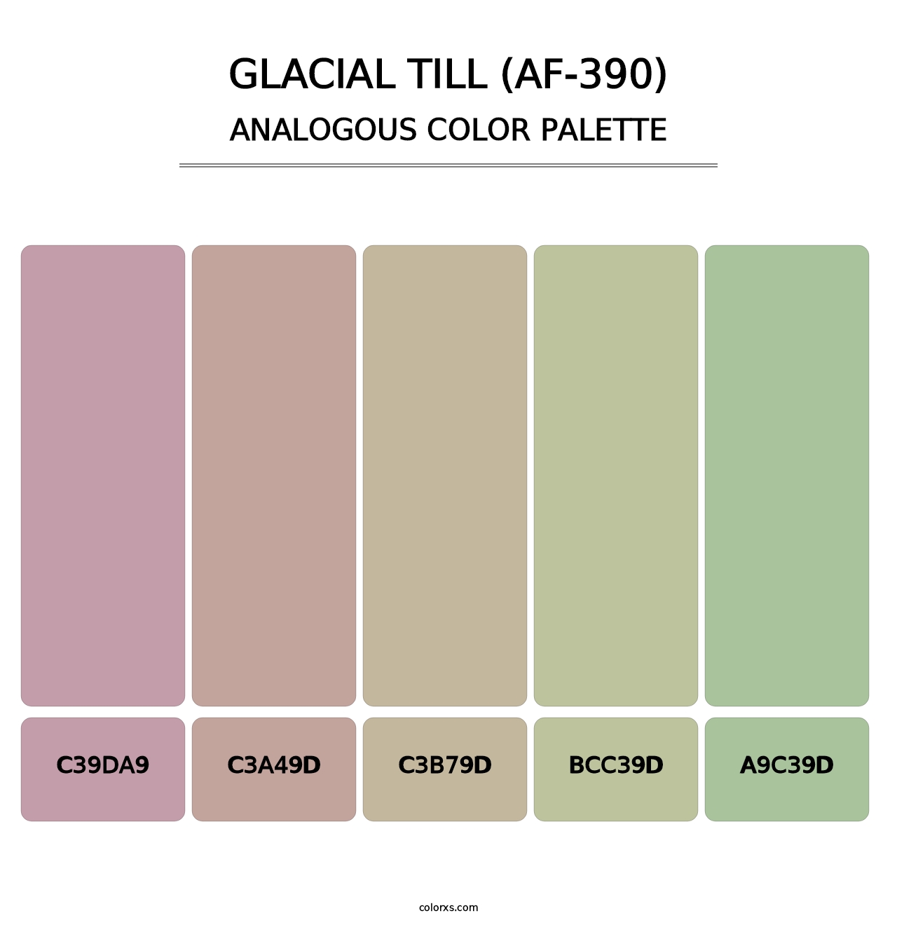 Glacial Till (AF-390) - Analogous Color Palette