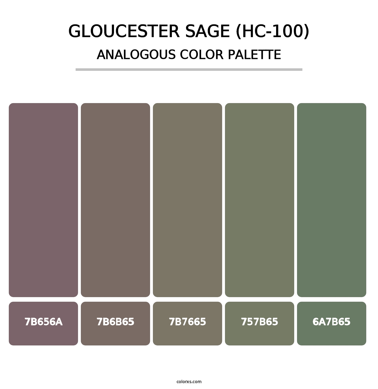 Gloucester Sage (HC-100) - Analogous Color Palette